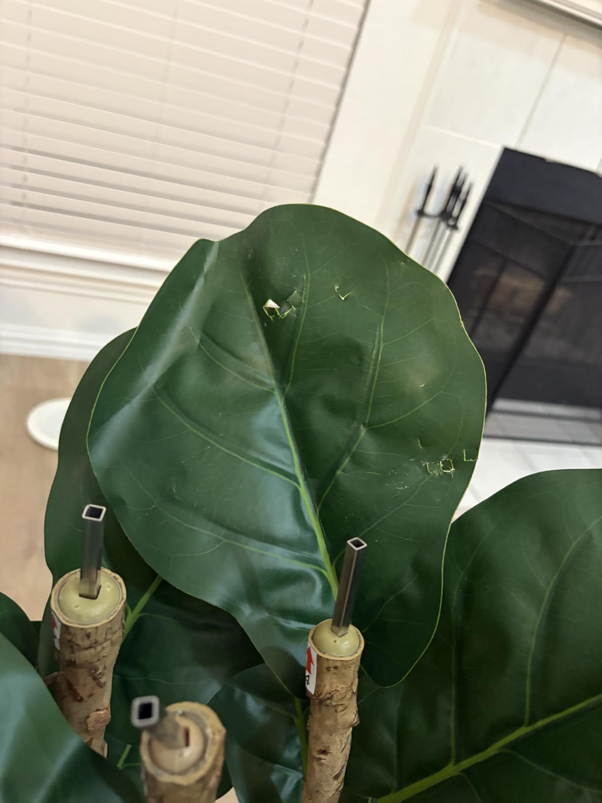 Artificial Fiddle Leaf Fig Tree with White Planter, 5ft Tall Fake Tree with Natural Wood Trunk for Home Decor, Faux Ficus Tree Fake Moss for Indoor Office Living Room customer photo 2