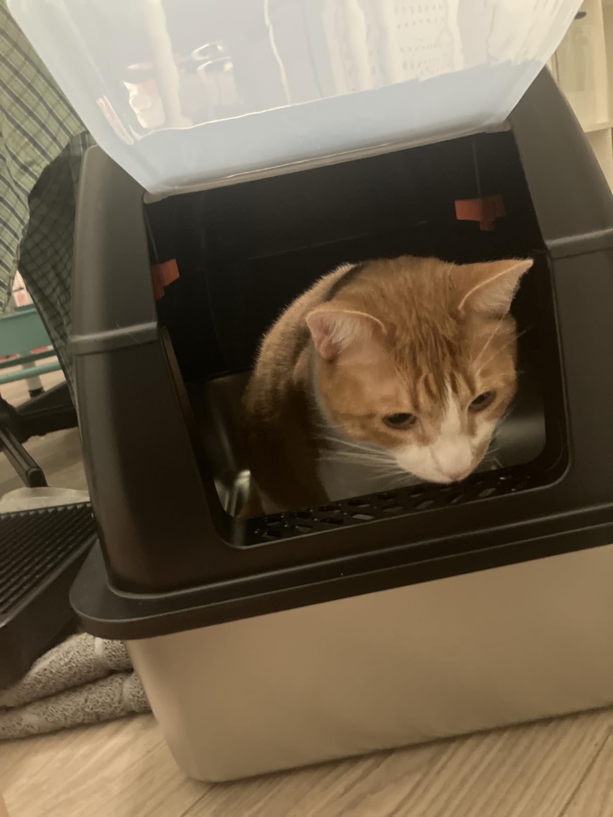 Lobeve Extra Large Stainless Steel Litter Box with Lid, Easy-Clean Pan | Enclosed Litter Box with Leak-Resistant Design, High Sides, Front Entry and Top Exit; Odor Control, Scoop and Mat Included customer photo 2