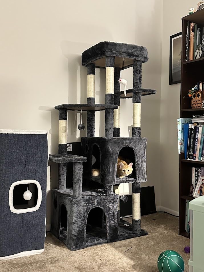 Globlazer Cat Tower for Indoor Cats, Heavy Duty Cat Trees for Large Cats Adult Big Cats Maine Coon Cat Tree Tower with Scratching Post, Extra Large Top Perch, Cat Condos, F61, Light Grey, 61inch customer photo 1