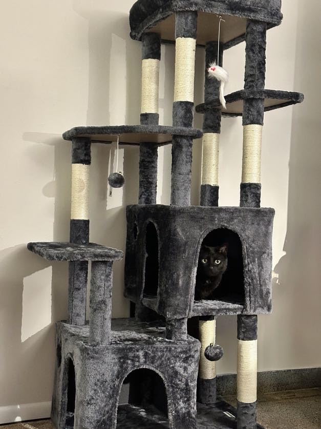 Globlazer Cat Tower for Indoor Cats, Heavy Duty Cat Trees for Large Cats Adult Big Cats Maine Coon Cat Tree Tower with Scratching Post, Extra Large Top Perch, Cat Condos, F61, Light Grey, 61inch customer photo 2