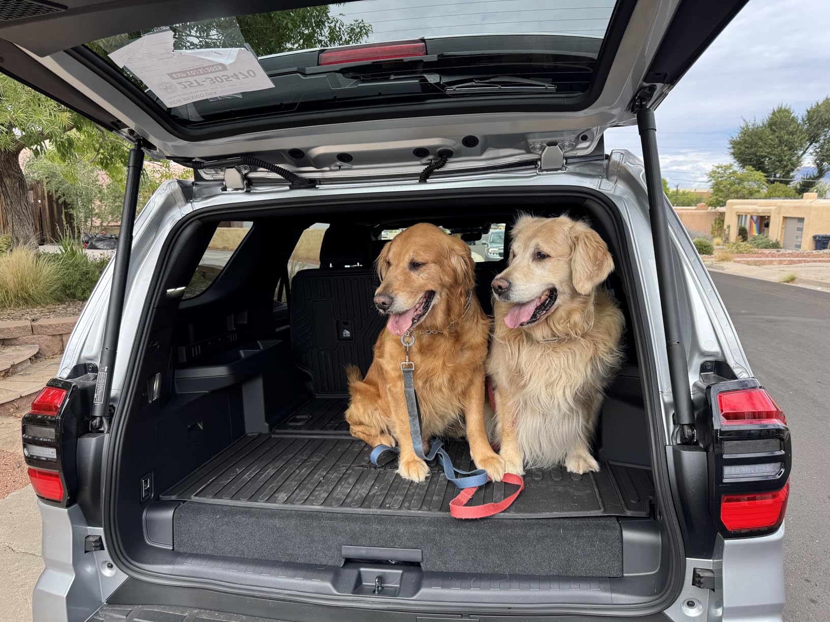 Dog Ramp for Cars, 71