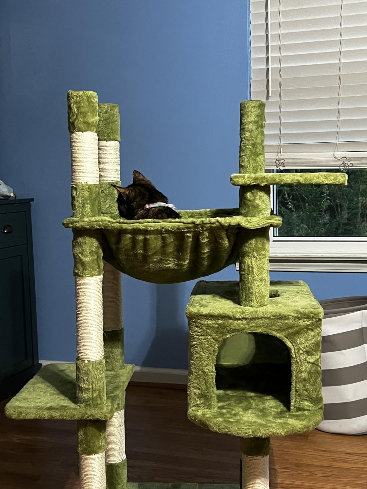Heybly Cat Tree, 71-Inch-Tall Tower for Indoor Cats with 2 Perches | Large Cat Furniture with 2 Big Condos, 2 Hammocks, Basket, Scratching Pad, Multi-Level Cat Condo, Smoky Gray customer photo 1