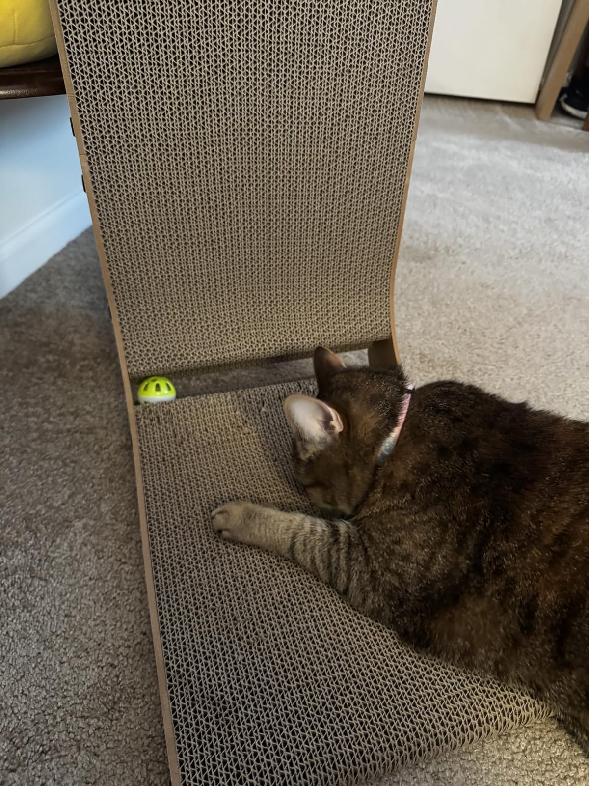EHEYCIGA Cardboard Cat Scratcher for Indoor Cats, 26.8 Inch, Brown | L Shaped Scratching Post, Vertical Cat Scratching Board with Ball Cat Toy, Furniture Protector, Large Cat Scratch Pad customer photo 1