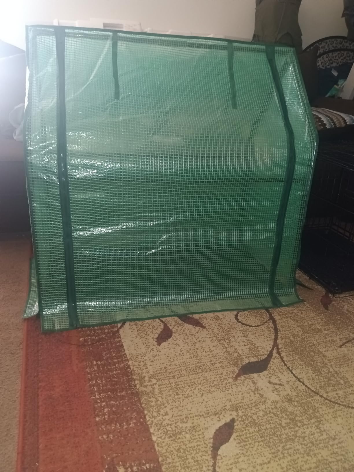 U'Artlines Portable Mini Greenhouse Small Green House 36x18x33 Inch, Plant Cover Tent with Waterproof Pad, Thick Zipper, Steel Frame customer photo 2
