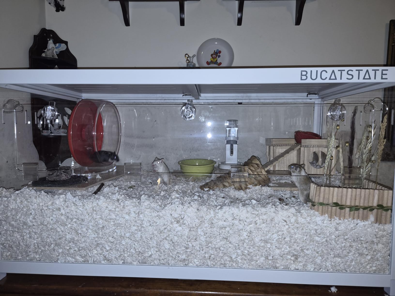 BUCATSTATE Hamster Cage 3.0, Large Hamster Enclosure (47in, White) | 7.8 ft² Small Animal Habitat with Deep Bedding Space for Hamster Enrichment, Stackable Aluminum Frame, Front & Top Access customer photo 2