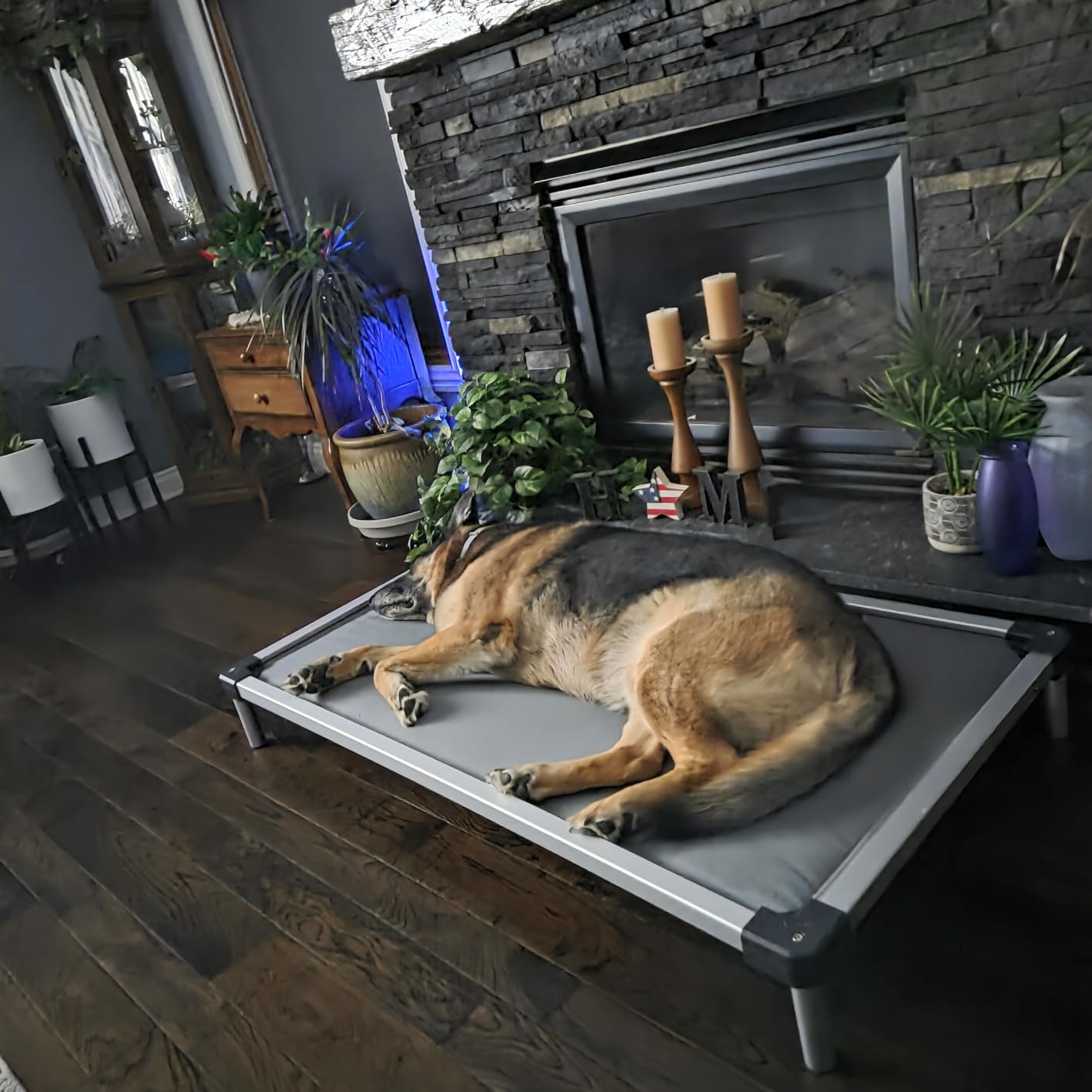 FXW TitanNest Padded Chew-Proof Elevated Dog Bed for Extra-Large Dogs | Easy to Clean, Pre-assembly Raised Cot, Indoor/Outdoor/Camping, 56 x 31 x 7.3in customer photo 2