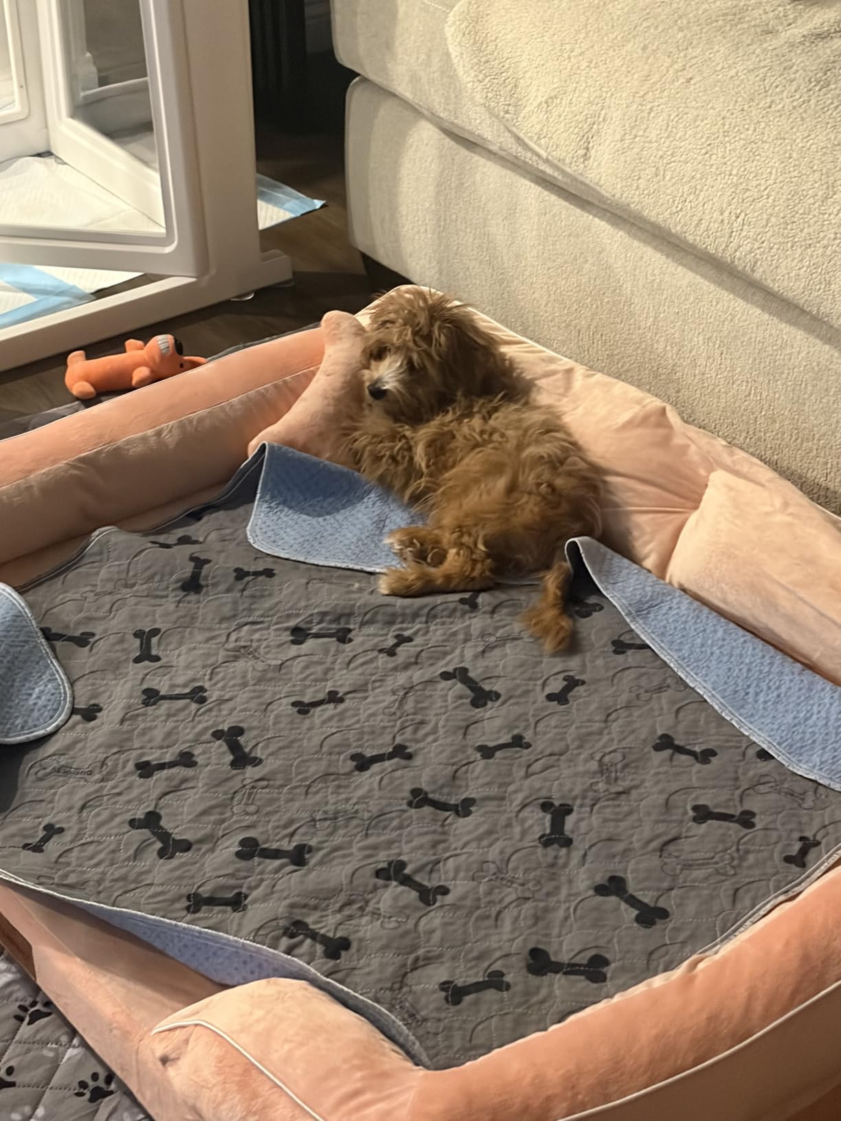 Extra Large Dog Bed, Orthopedic Dog Bed with Cooling Gel Memory Foam, Waterproof XL Pet Bed with Removable Washable Cover, 42