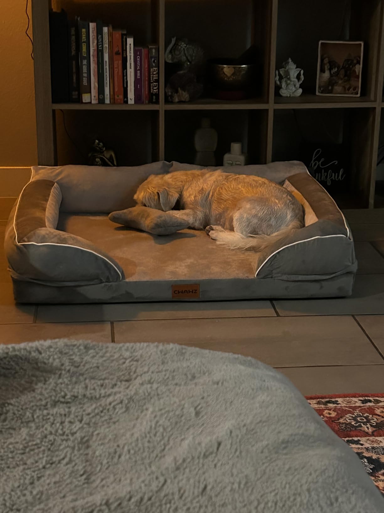 Extra Large Dog Bed, Orthopedic XL Dog Bed with Cooling Gel Memory Foam, Waterproof Pet Bed with Removable Washable Cover, 42