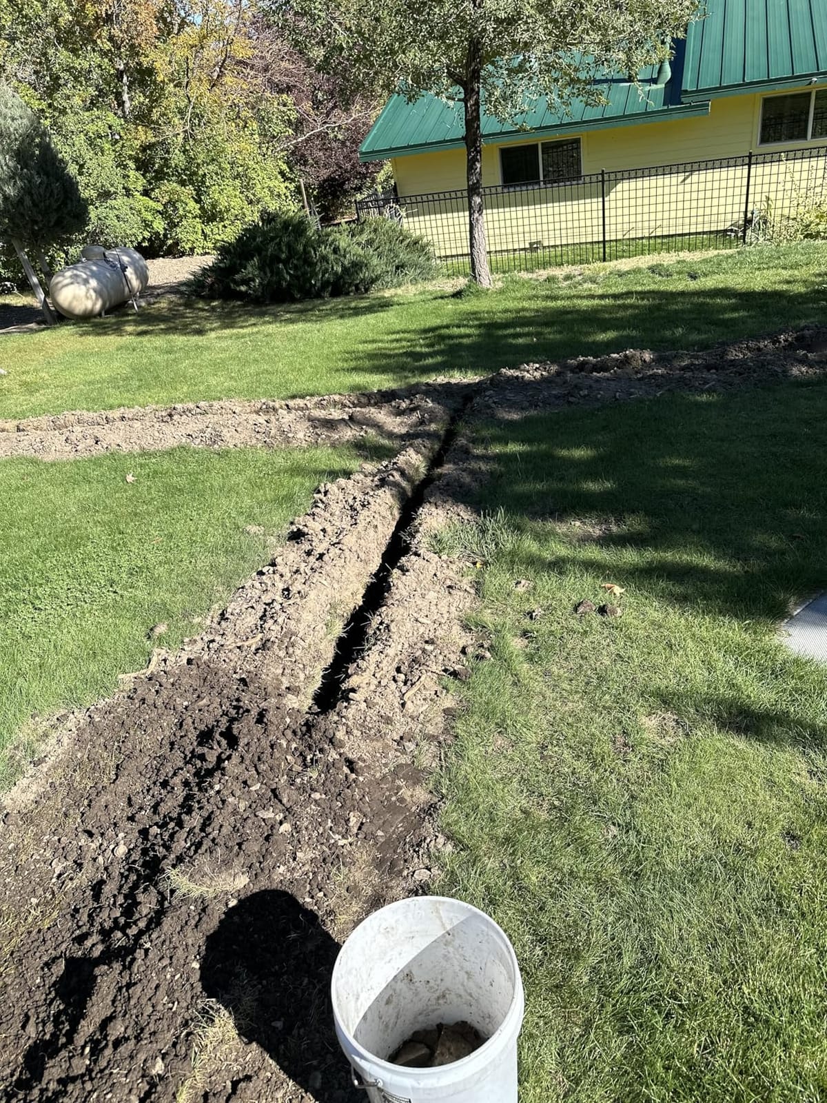 VNIMTI Cultivator for Gardening, 4 Tines Garden Cultivator with Fiberglass Handle, 58 Inches customer photo 2