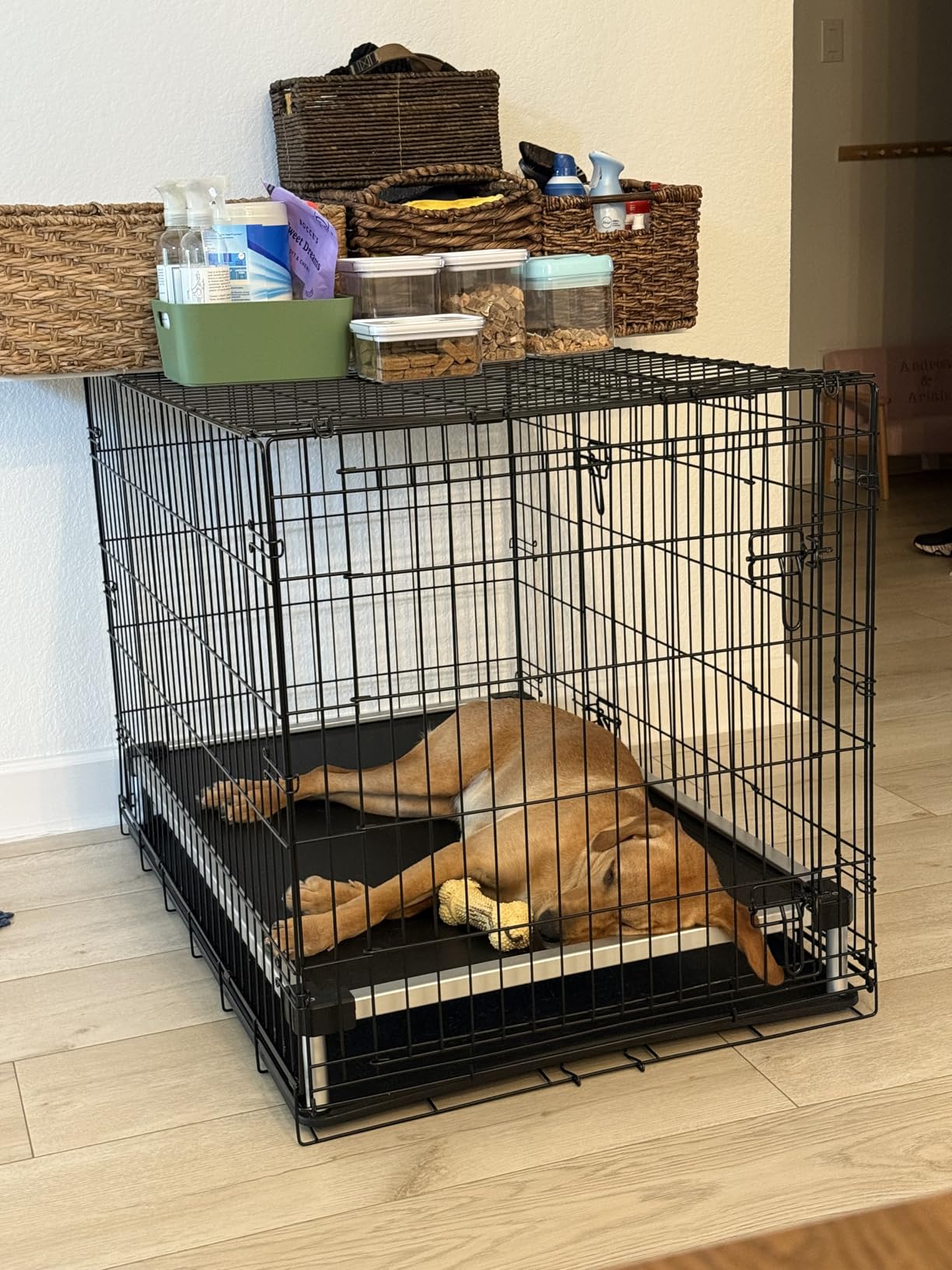 FXW TitanNest Cooling Chew-Proof Elevated Dog Bed for Extra Large Dogs | Easy to Clean, Pre-assembly Raised Cot, Indoor/Outdoor/Camping, 56 x 31 x 7.3in customer photo 2