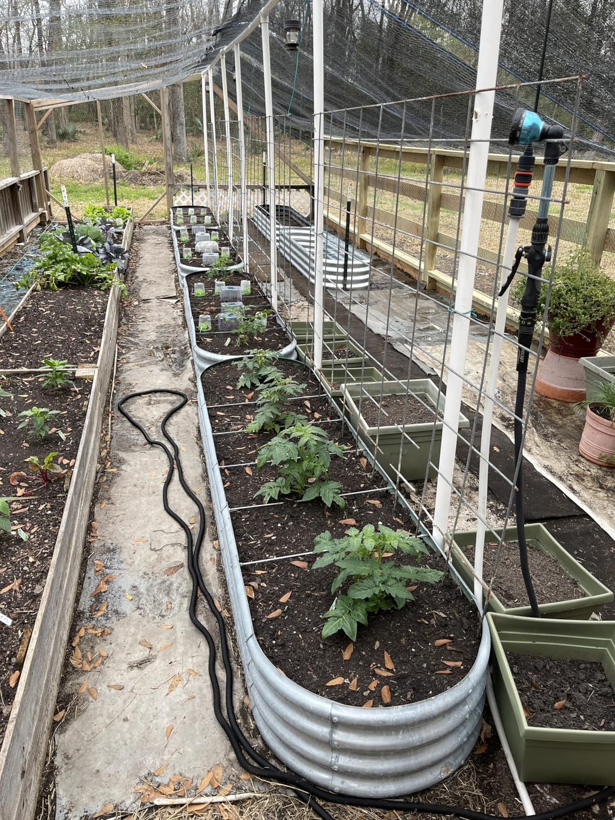 Land Guard 8ft Galvanized Raised Garden Bed Kit, Raised Garden Boxes Outdoor, Oval Metal Raised Garden Beds for Vegetables, Silver, 108 Gallon Capacity customer photo 2