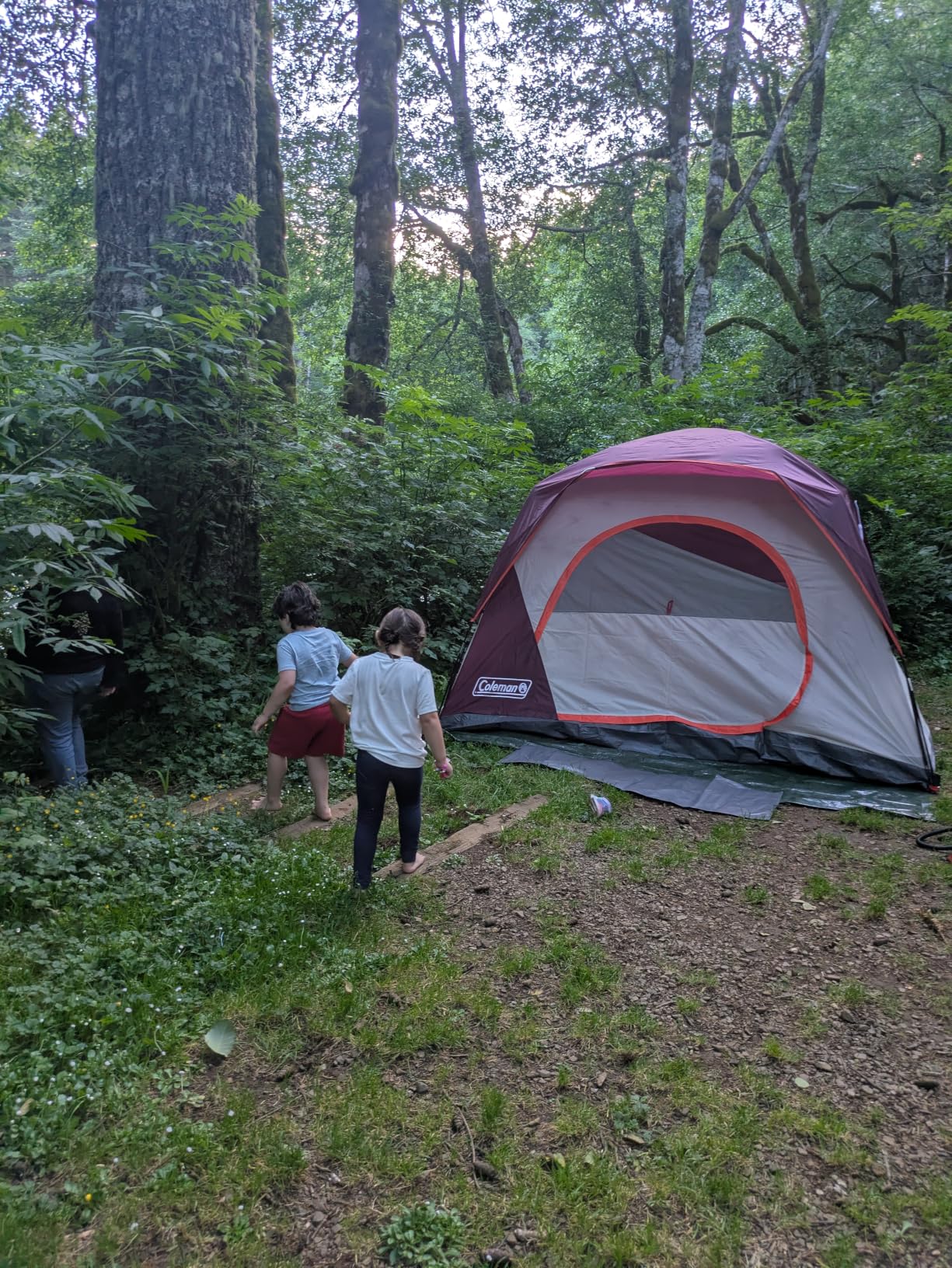 Coleman Skydome Camping Tent with 5 Minute Setup, 2/4/6/8 Person Weatherproof Tent with Rainfly & Carry Bag, 20% More Headroom Than Traditional Canopies customer photo 1