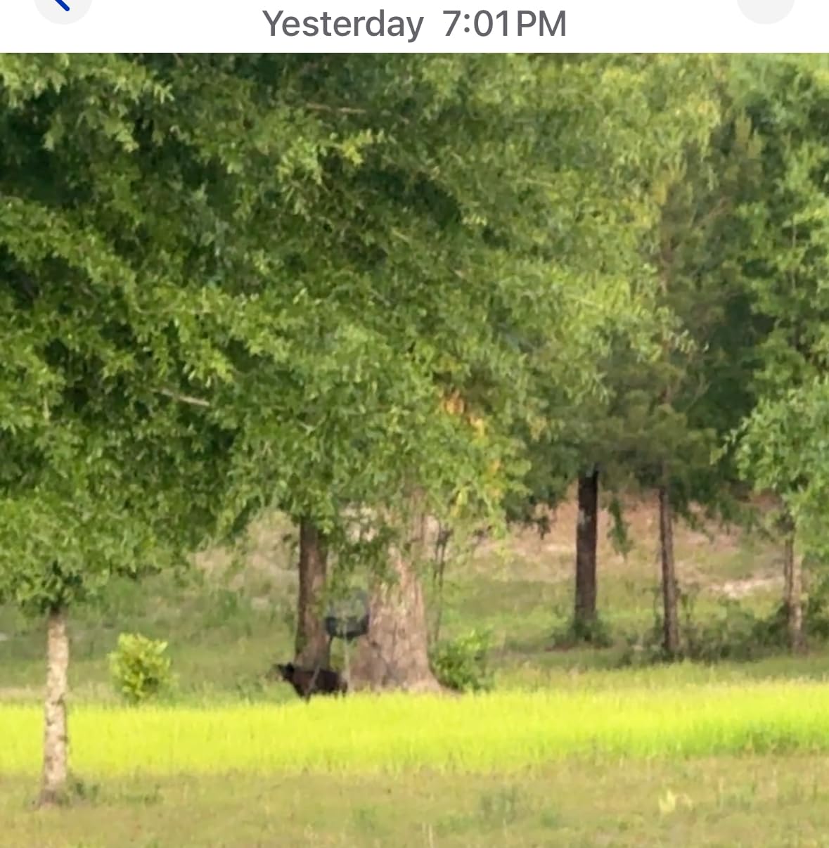 TACTACAM Reveal X Gen 3.0 Cellular Trail Camera, Multi-Carrier, HD Photos & Videos, Pre-Installed Antenna, Built-in GPS, Best Battery Life, Low-Glow, Fast Trigger Speed (2-Pack) customer photo 1