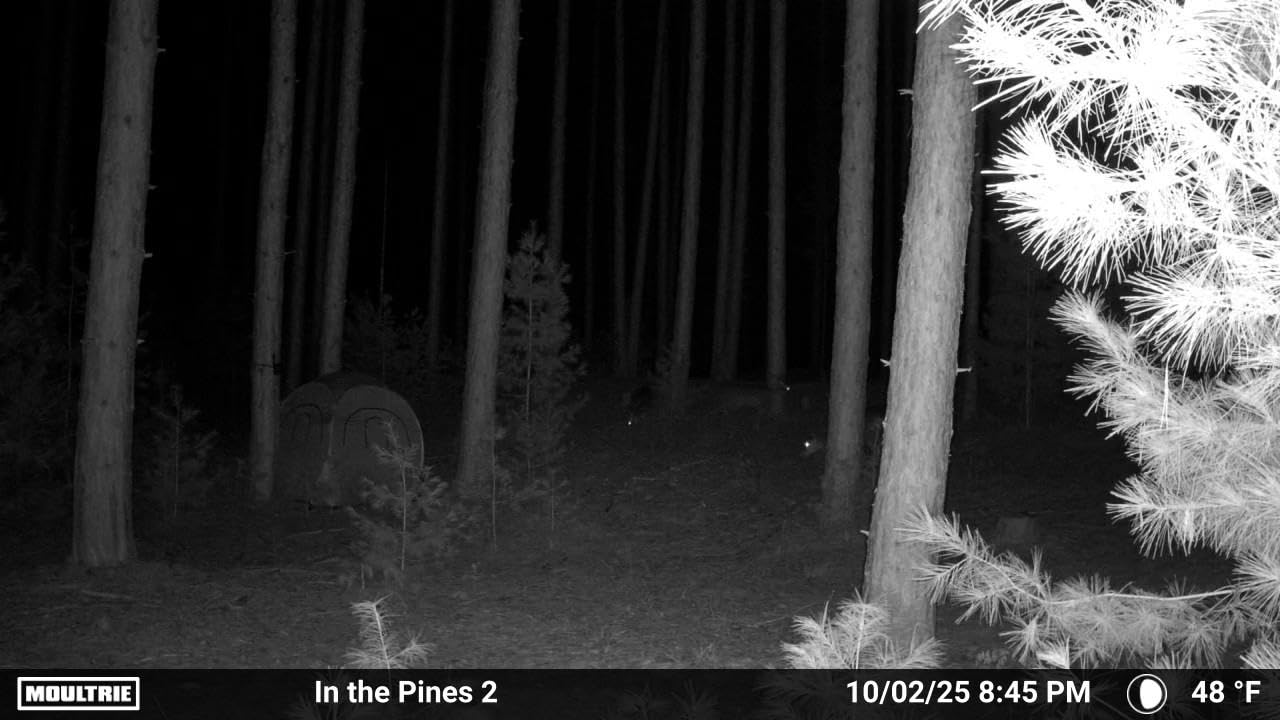 Moultrie Edge 2 Cellular Trail Camera, Scout from Anywhere, HD Photos via Mobile App, 1080p Video, Multi-Carrier, Low-Glow Flash, 100ft Detection customer photo 1