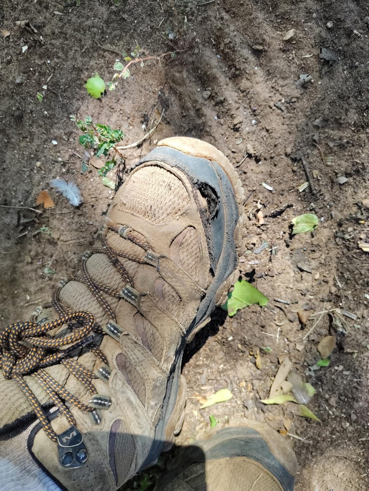 Men's Moab 3 Mid Waterproof Hiking Boots customer photo 2