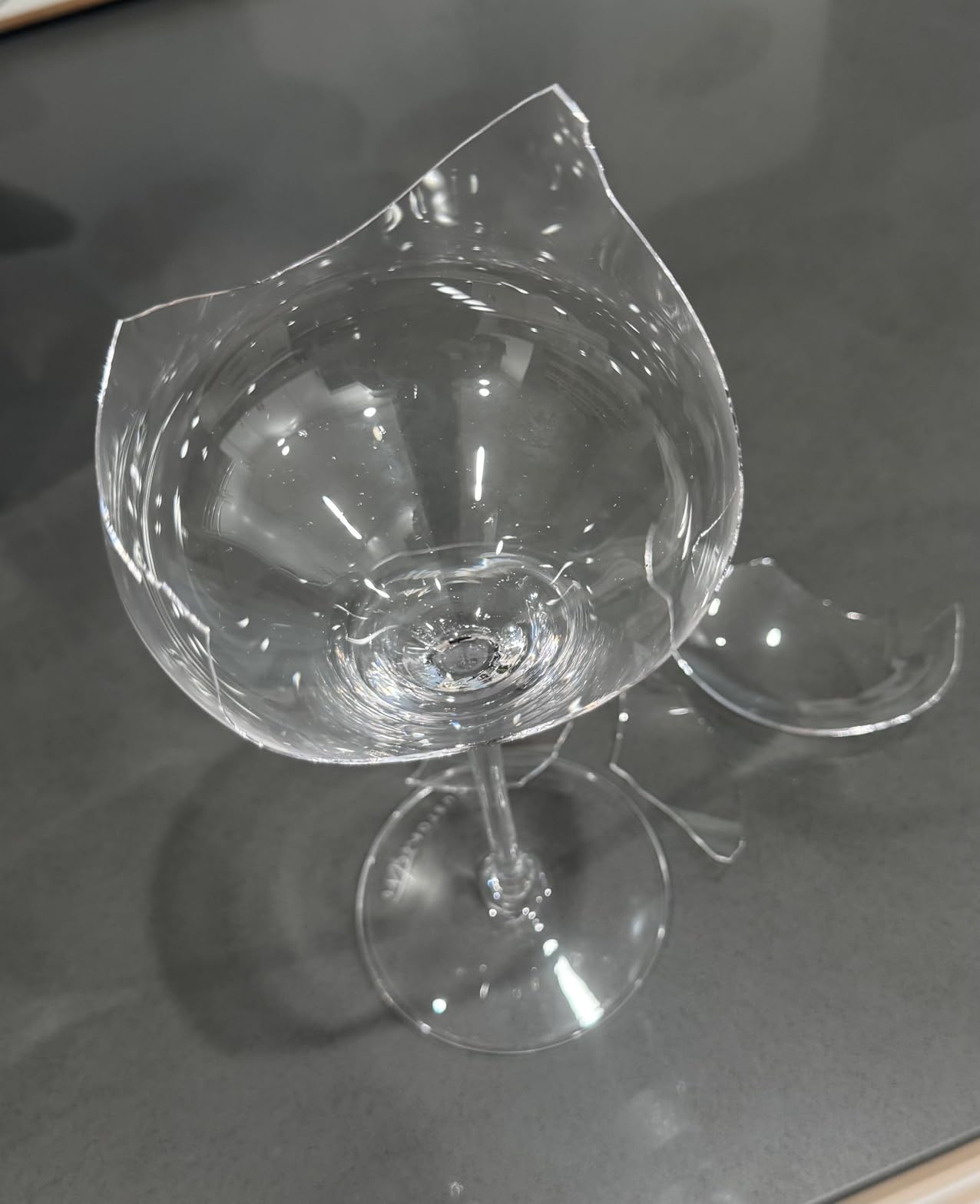 Gusto Nostro Crystal Wine Glasses Set of 4, 22 Oz Long Stem Modern Wine Glasses for White and Red Wine, Dishwasher Safe, Fancy, Elegant, Large and Tall Wine Glass for Wedding Christmas Anniversary customer photo 1