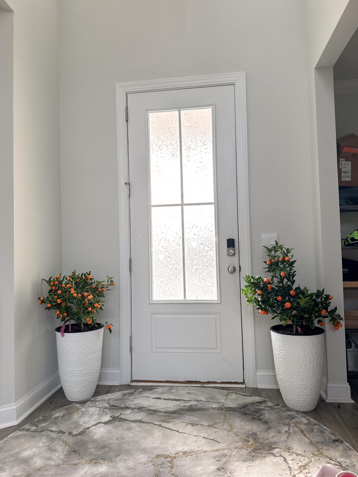 Worth Garden 21