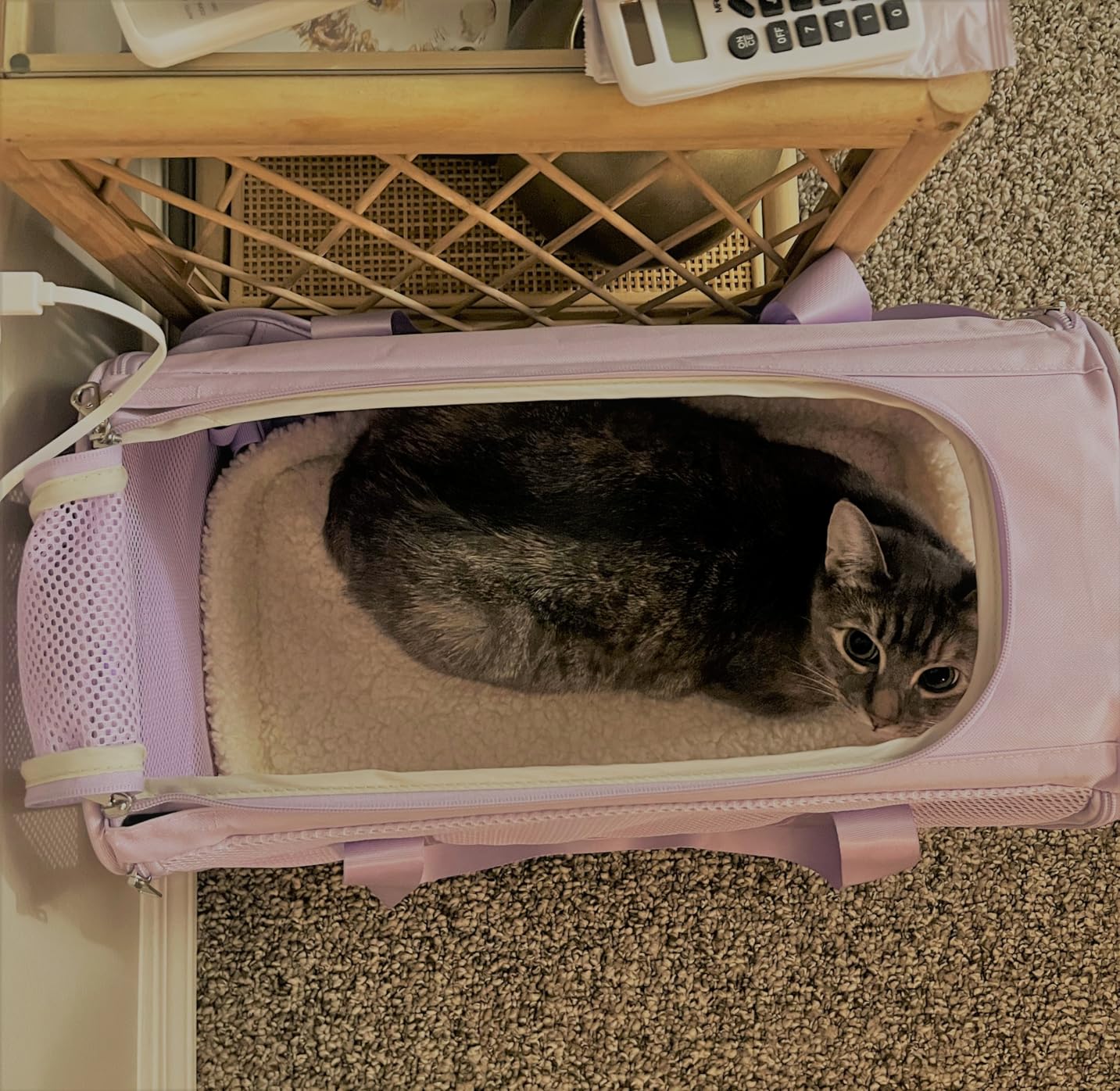 PETSFIT Cat Carrier Soft with Patented Safety Buckles, Safe for Car Travel | Lockable Zippers, Safety Tether, Escape-Resistant Pet Carrier for Vet Visits, Airline Approved Under-Seat, Up to 12 lbs customer photo 2