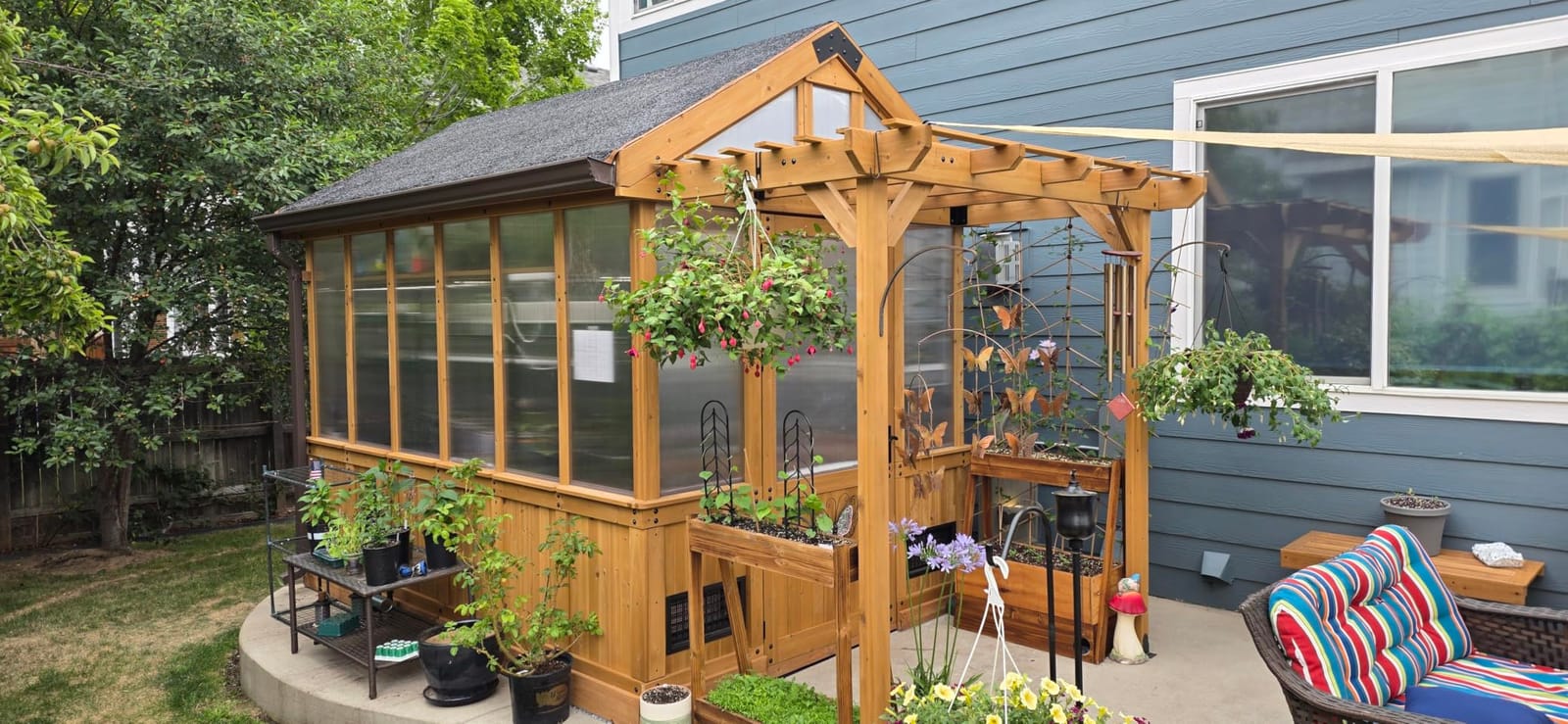 Backyard Discovery Bellerose 9' x 6' White Cedar Wood and Polycarbonate Walk-in Greenhouse Kit with Pergola, Exhaust Fan, Window, Hose Hook-Ups, PowerPort, Staging Shelves for Outdoor Gardening customer photo 1