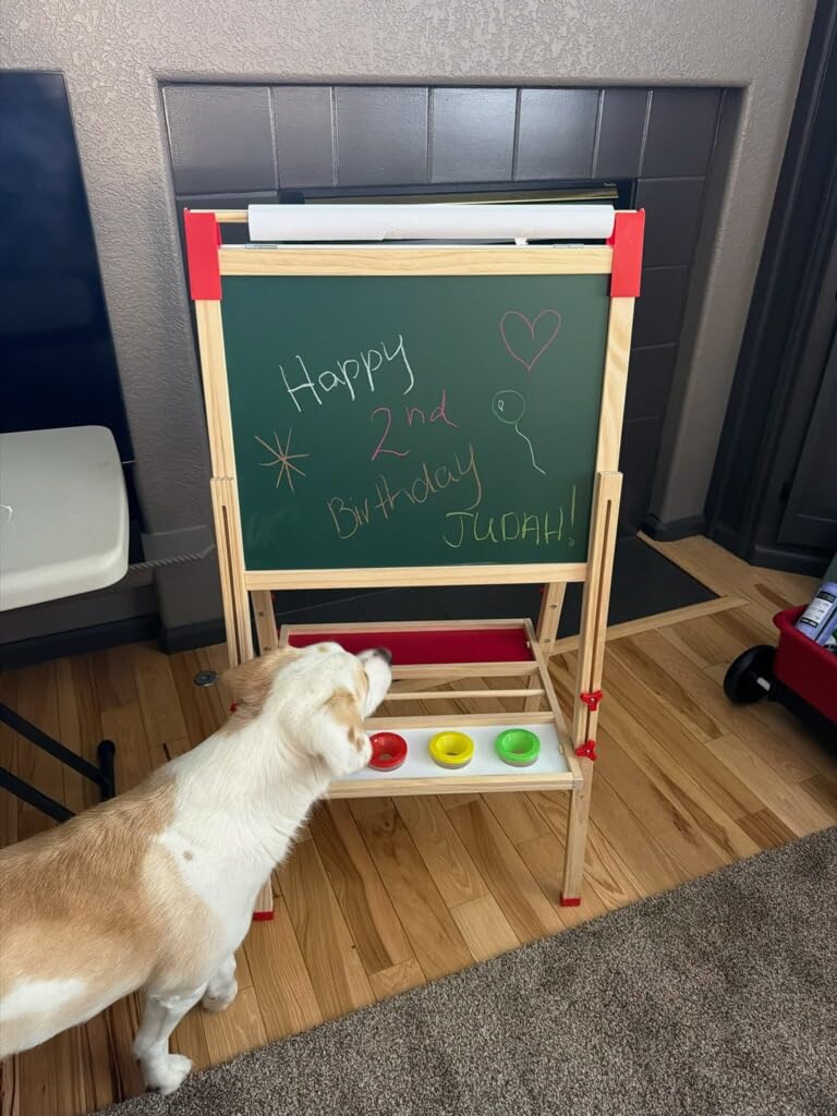 Adjustable Wooden Art Easel for Kids, Double Sided Chalkboard & Whiteboard | Drawing & Painting Station with 114+ Art Supplies customer photo 2