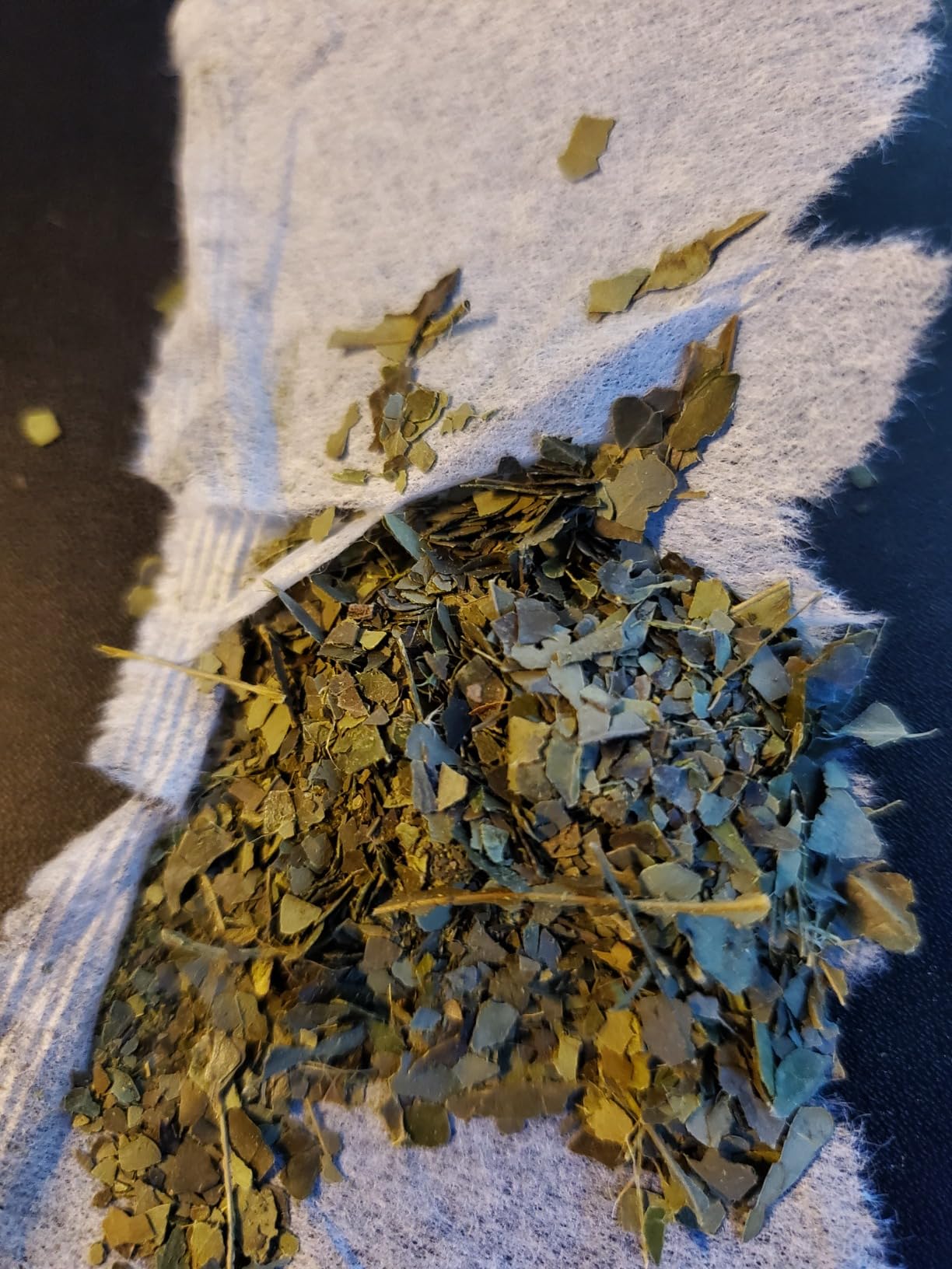 Rise Yaupon America's Classic Yaupon Holly Tea, 20 Tea Bags, 1.06 oz customer photo 1