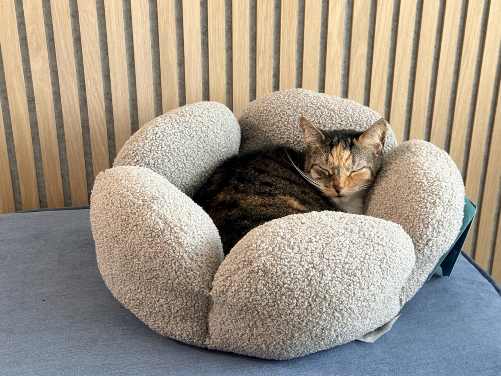 Catstages Purrfect Petals Flower Cat Bed with Plush Support and Raised Sides, Tan, 21 in - Secure, Soft, Comfortable Bed for Cats and Kittens customer photo 1