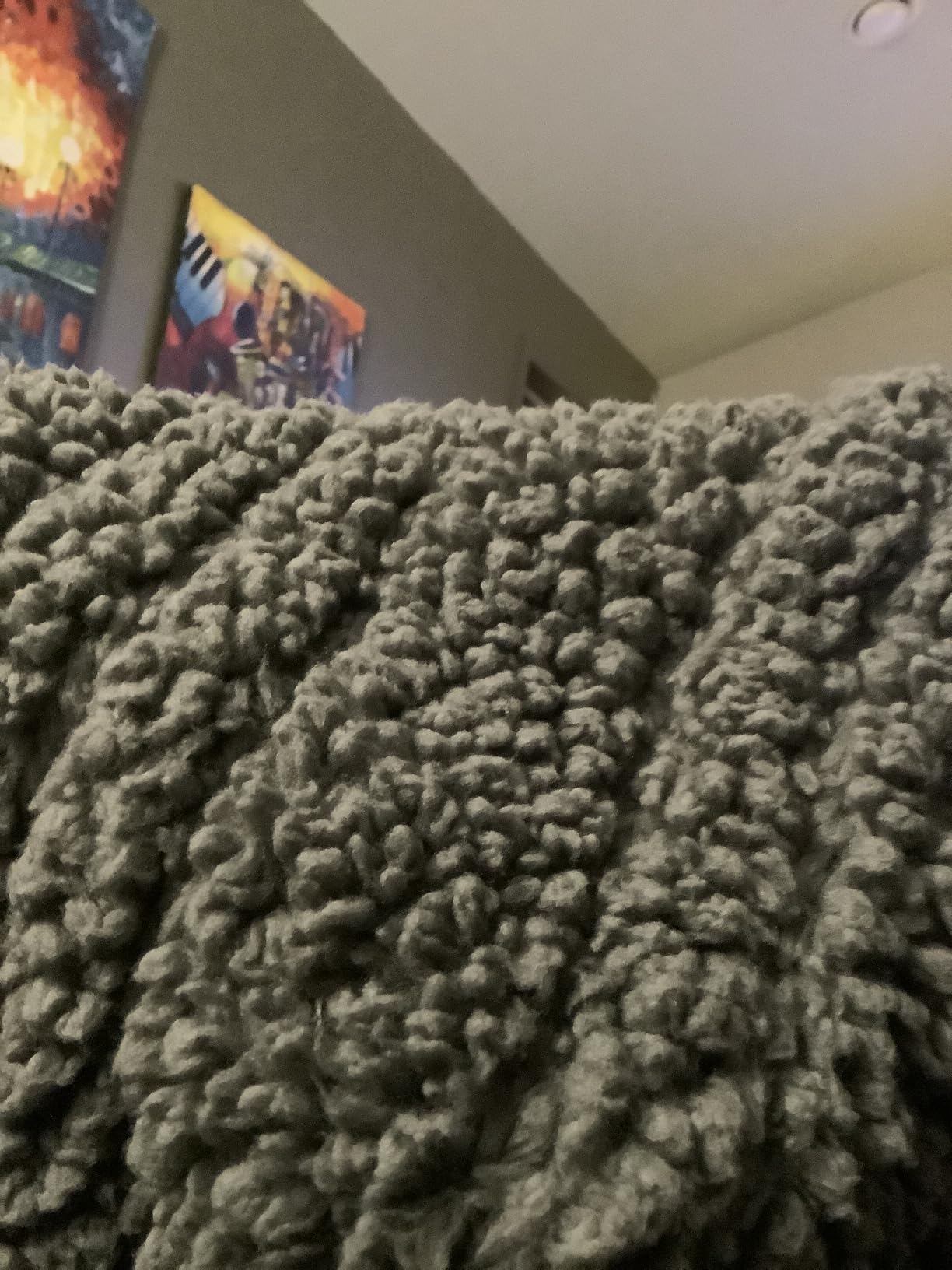 Heated Blanket Electric Blanket Throw - Fast Heating Blanket Throw Double Sided Sherpa Ultra Soft Cozy with 6 Heating Levels & 1-4 Hours Auto Off, Machine Washable, 50 x 60 Inches, Grey customer photo 1