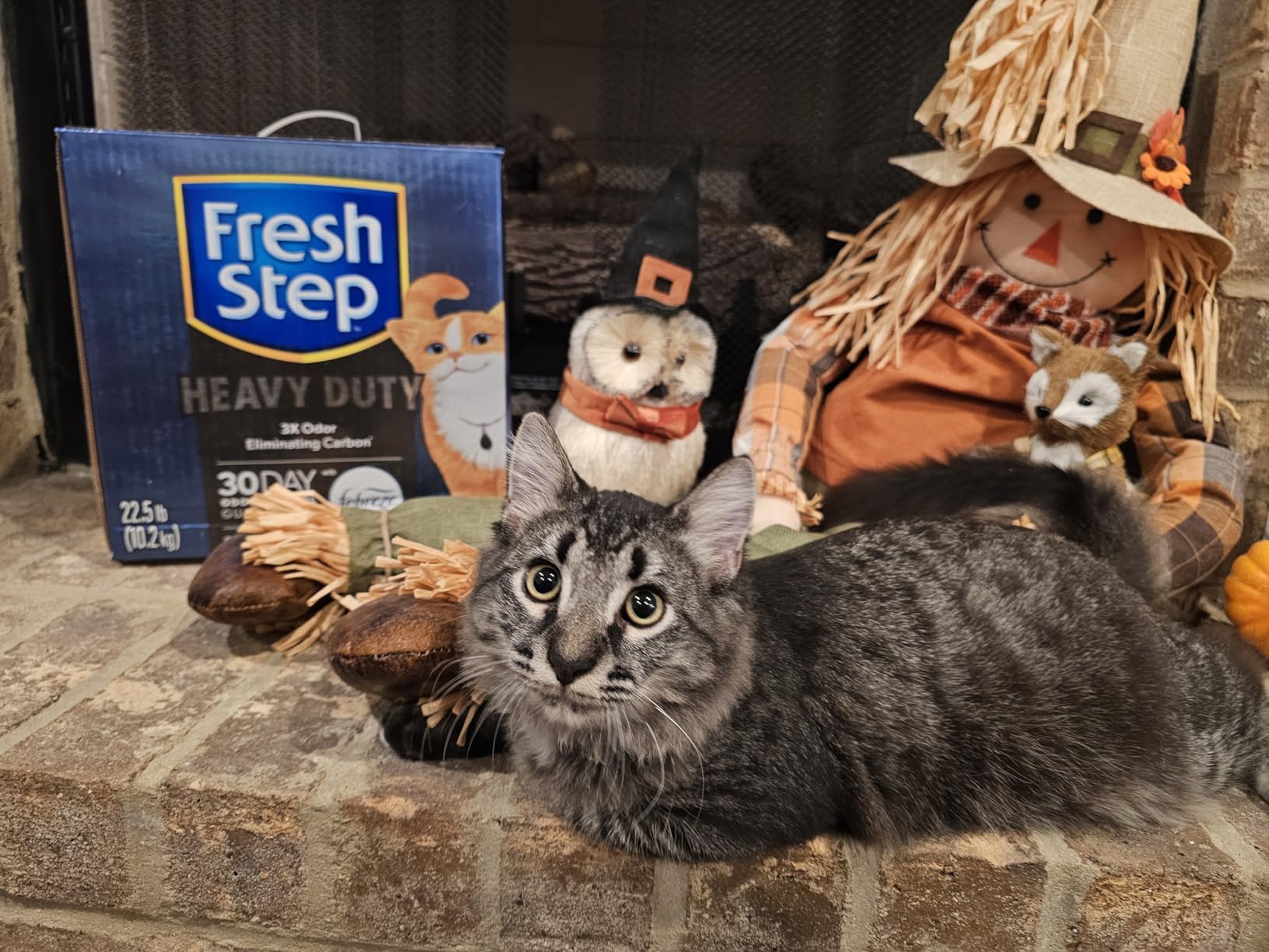 Fresh Step Advanced Heavy Duty Multi Cat Clumping Cat Litter, 17.5 lb | 3X Odor-Eliminating Carbon customer photo 2
