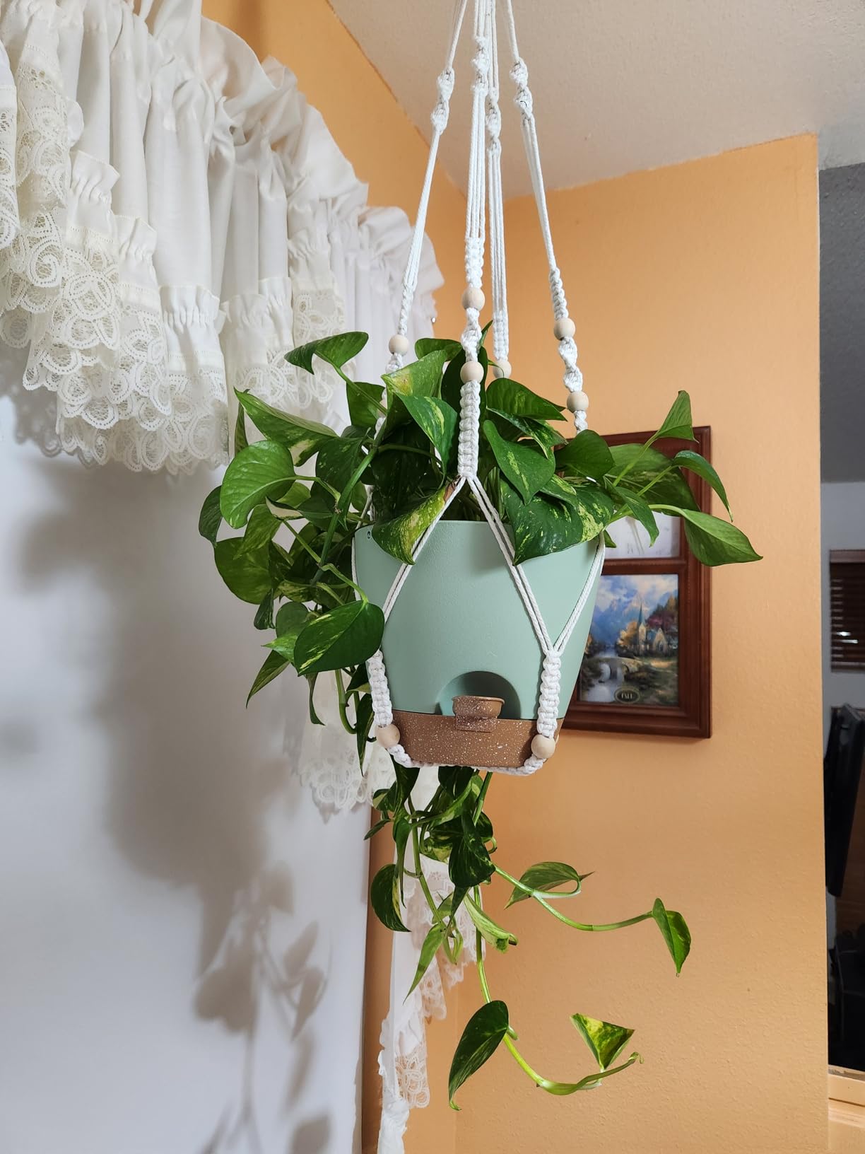 10 Inch Self Watering Hanging Planters for Indoor Outdoor Plants, 2 Pack | Hanging Baskets Flower Pots with Drainage Holes, Visible Water Window, Metal Chain & Macrame Plant Hangers, White customer photo 1