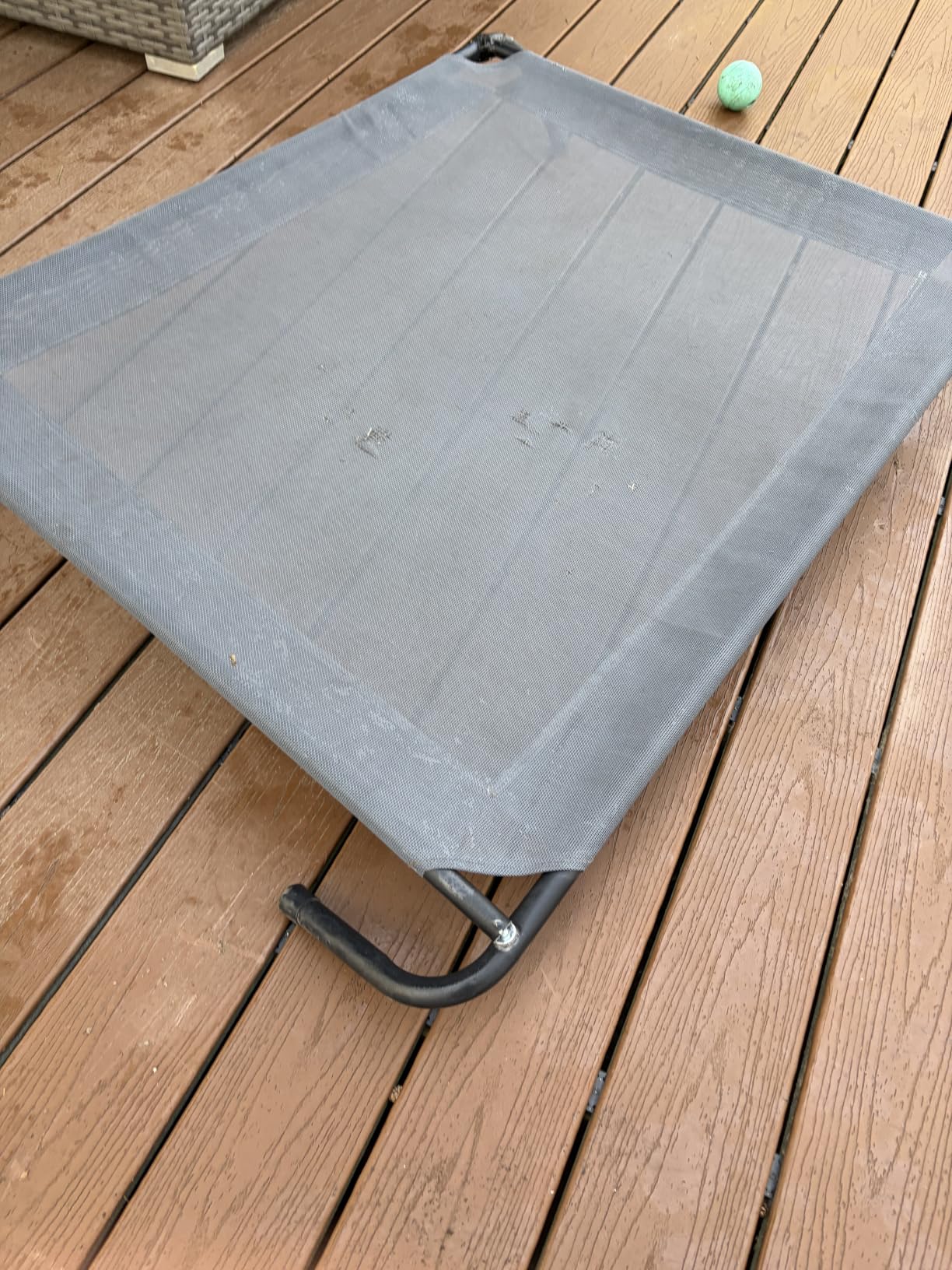 Love's cabin Elevated Cooling Dog Bed for Large Dogs, Portable Indoor & Outdoor Raised Pet Dog Cat Cot, Durable Summer Frame with Breathable Mesh, Grey, 48 inches customer photo 1