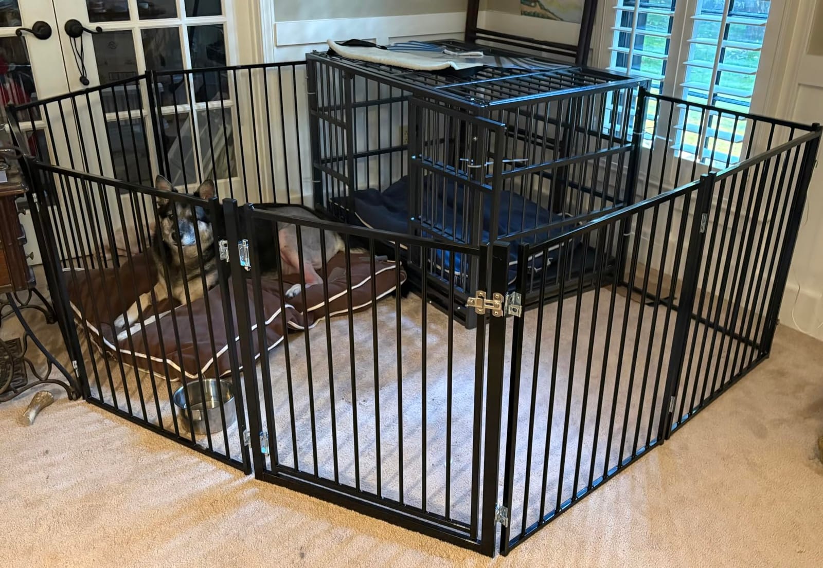 No Pawblems Freestanding Dog Gate with Door for Indoor & Outdoor, 30'' Tall | Foldable Metal Pet Gate for Stairs/Doorways, 104'' Extra Wide Dog Fence for Deck, Freestanding or Wall Mount, 4 Panels, Black customer photo 2