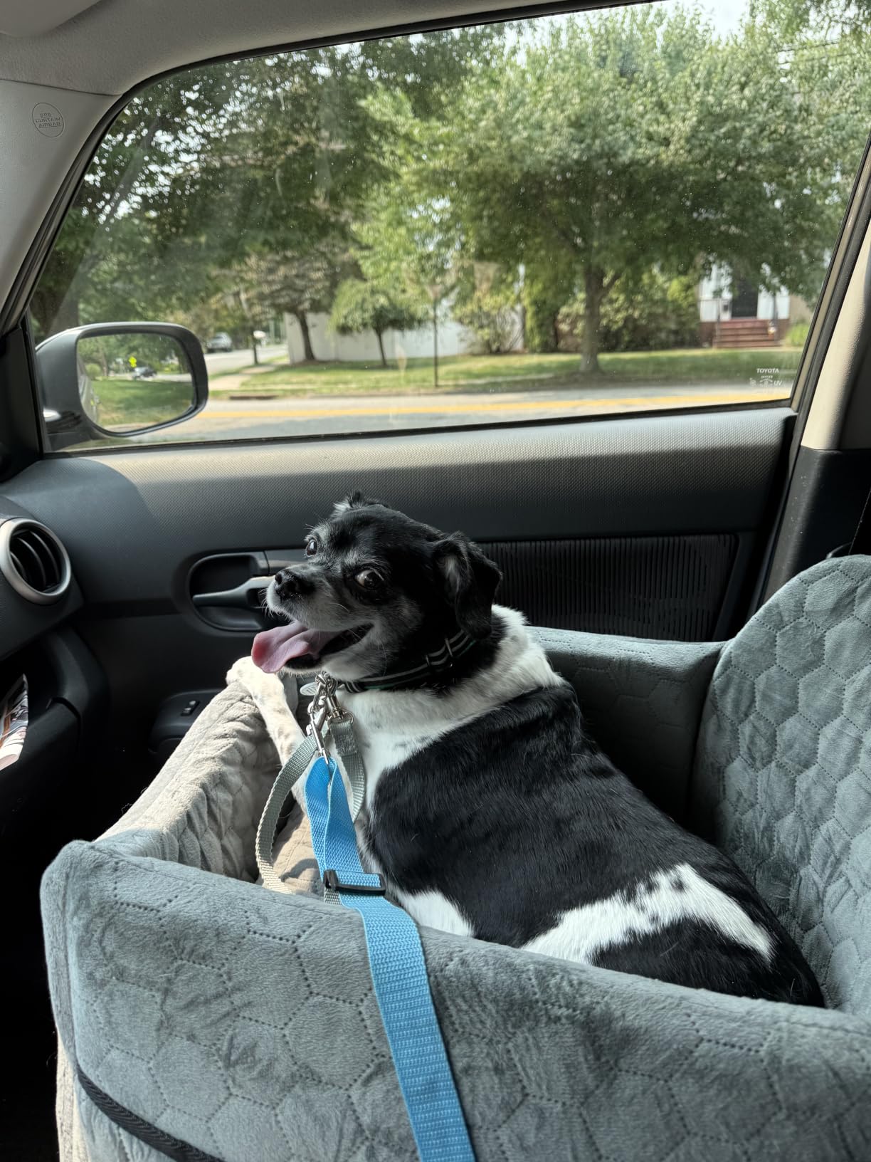 Dog Car Seat for Small/Medium Dogs, Memory Foam Dog Booster Seat, Travel Safety Per Car Seat with Washable Removable Cover, Storage Pockets for Dogs up to 35 lbs (Gray) customer photo 1