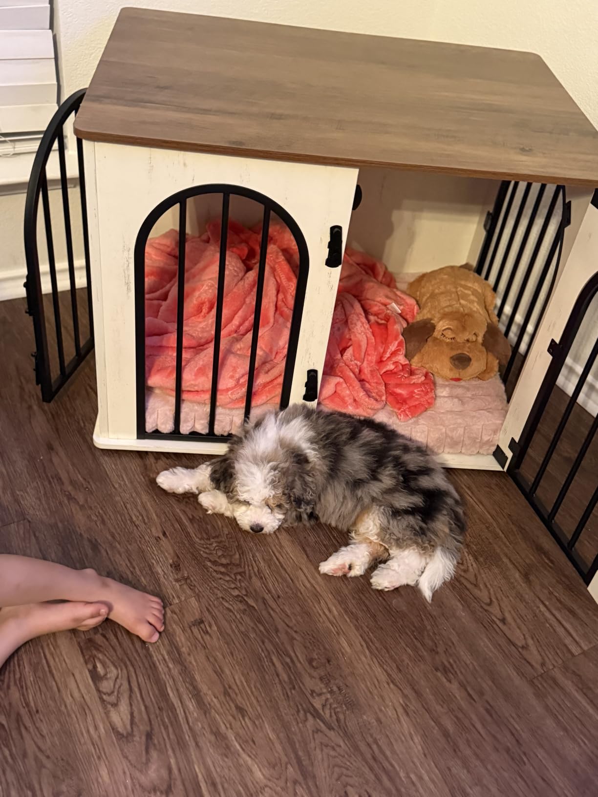 Hzuaneri 31.5'' Dog Crate Furniture, Dog Kennel Indoor for Small/Medium Dogs, Wooden Dog Cage Heavy Duty Dog Crate Decorative Pet House End Side Table TV Stand, White Brown customer photo 2