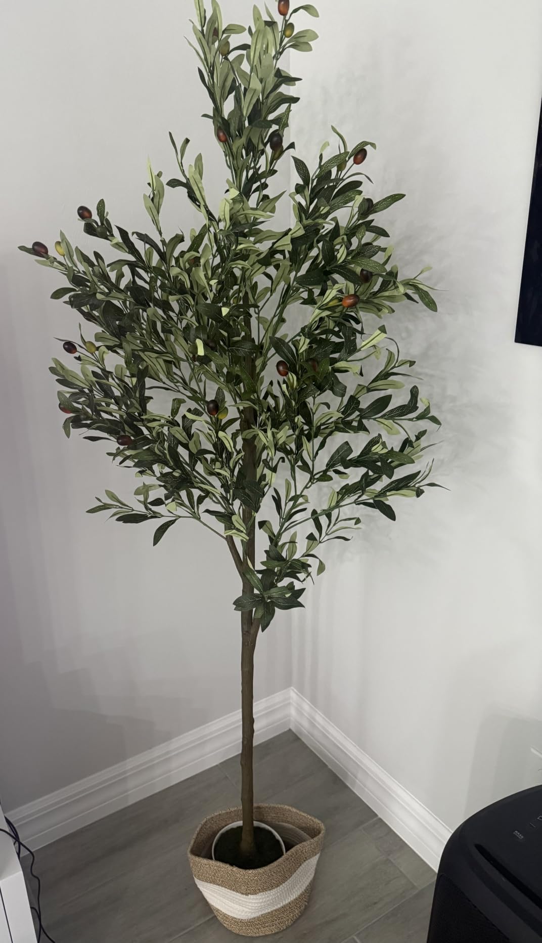 6FT Artificial Olive Tree Indoor Tall Faux with Planter&Basket | Large Fake Olive Silk Trees Realistic Olive Plants with Branches and Fruits for Home Decor Office Living Room customer photo 2
