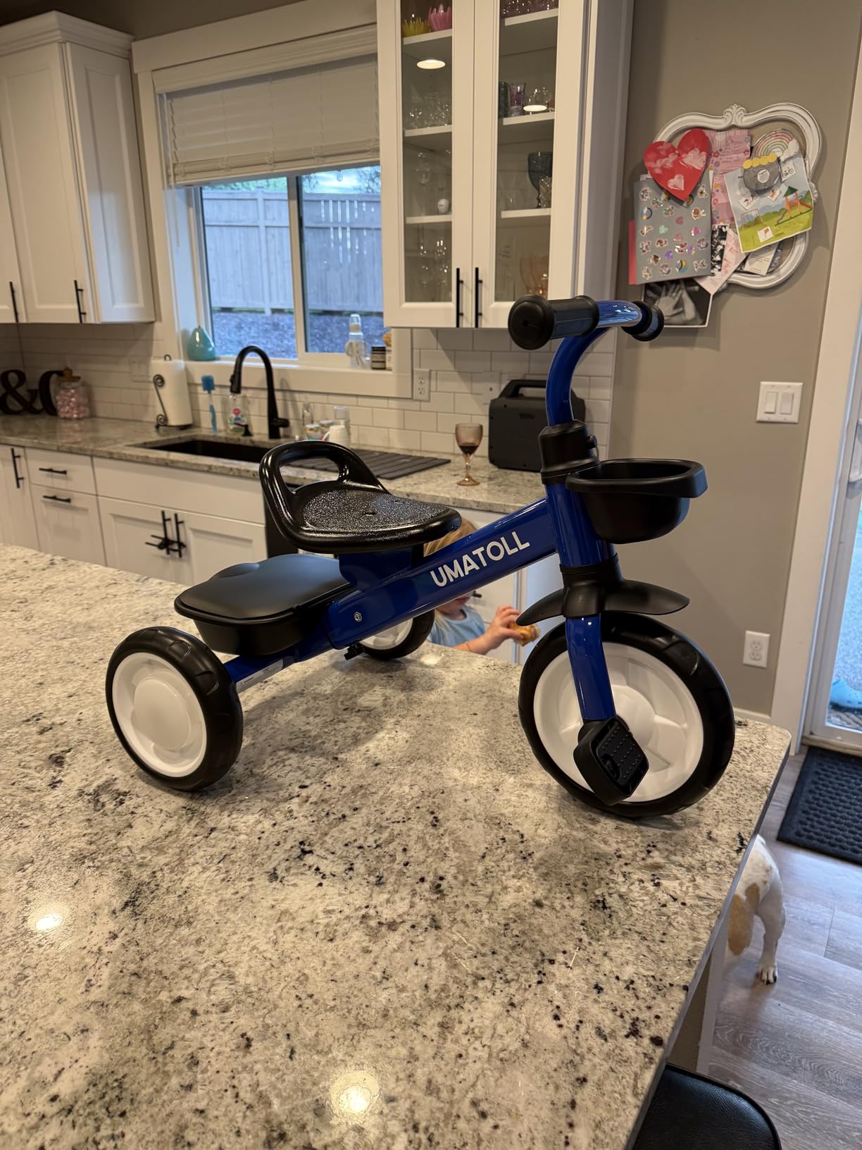 Umatoll Tricycle for Toddlers 2-5 Year Old, Ajustable Toddler Bike Outdoor Toys, Birthday Gift for Girl Age 2-4, Trike with Light up Wheels customer photo 1