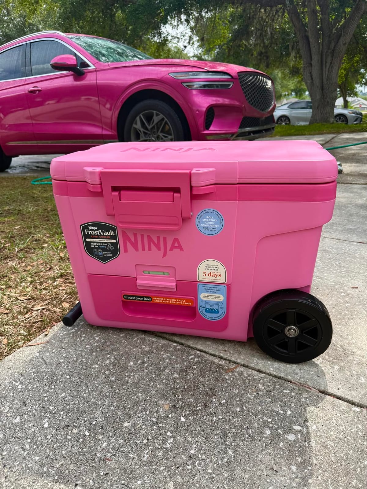 Ninja FrostVault 65qt Cooler with Wheels, Dry Storage, Lakeshore Blue | Ninja FrostVault's 65-qt capacity holds 97 cans, keeps food cool & dry, and rolls easily on all-terrain wheels customer photo 2