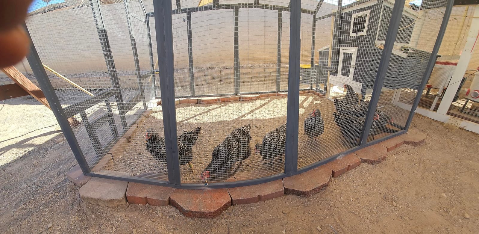 Large Wood Chicken Coop with Nesting Box, Wooden Chicken Coop with Run, Outdoor Walk-in Poultry Cage with Weatherproof Cover, Chicken House for Outside Farm Backyard customer photo 2