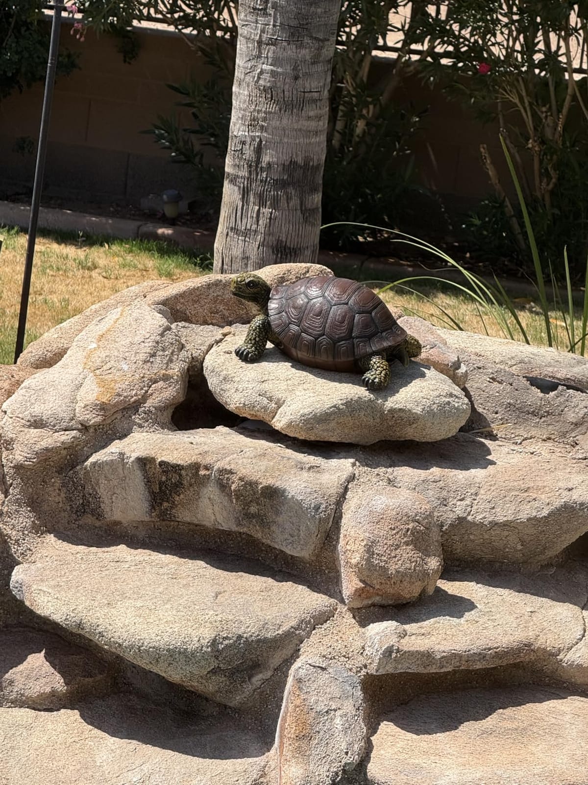 Weather-Resistant Resin Turtle Statue Decoration, Exquisite Handicraft, Artistic Simulation Animal Sculpture, Suitable for Outdoor Gardens, Courtyards, Ponds, Colorful Holiday Decoration Gifts customer photo 1