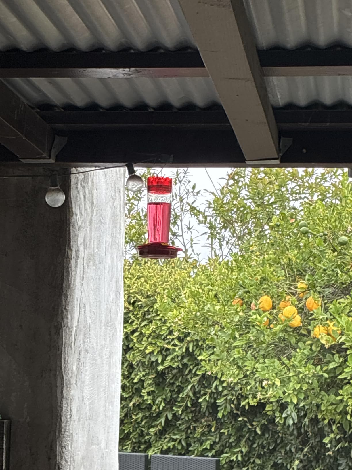 2 Pack Plastic Hummingbird Feeders for Outdoors Hanging Ant and Bee Proof, 15 Ounces Red Hummingbird Feeder with 5 Feeding Ports and Perches, Built-in Ant Moat, Outside Garden Décor customer photo 2