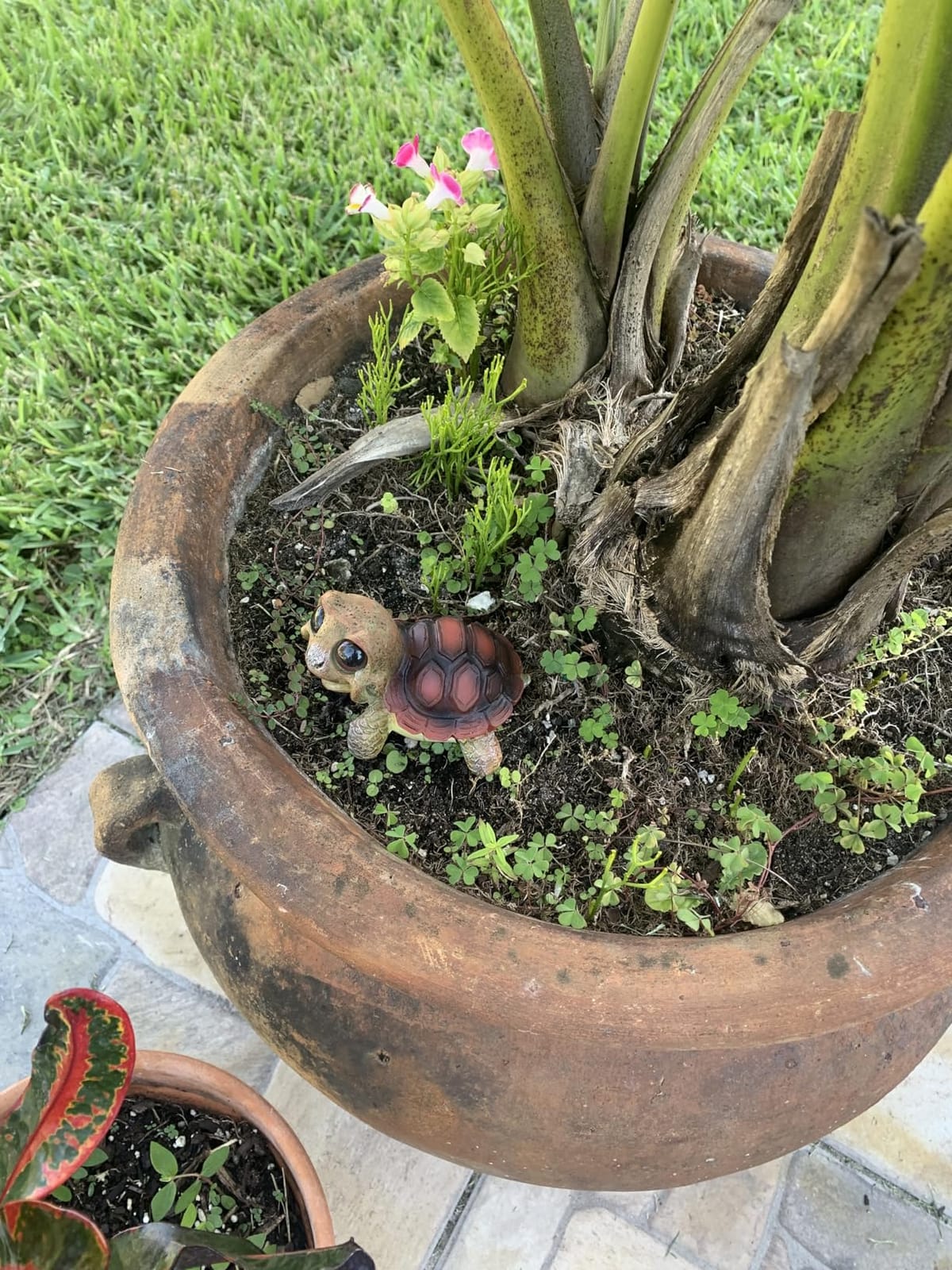 Turtle Outdoor Garden Decor - Outside Garden Statues for Home, Yard, Patio, Backyard, Balcony for Mother's Day, Birthday for Women, Mom Gifts customer photo 2