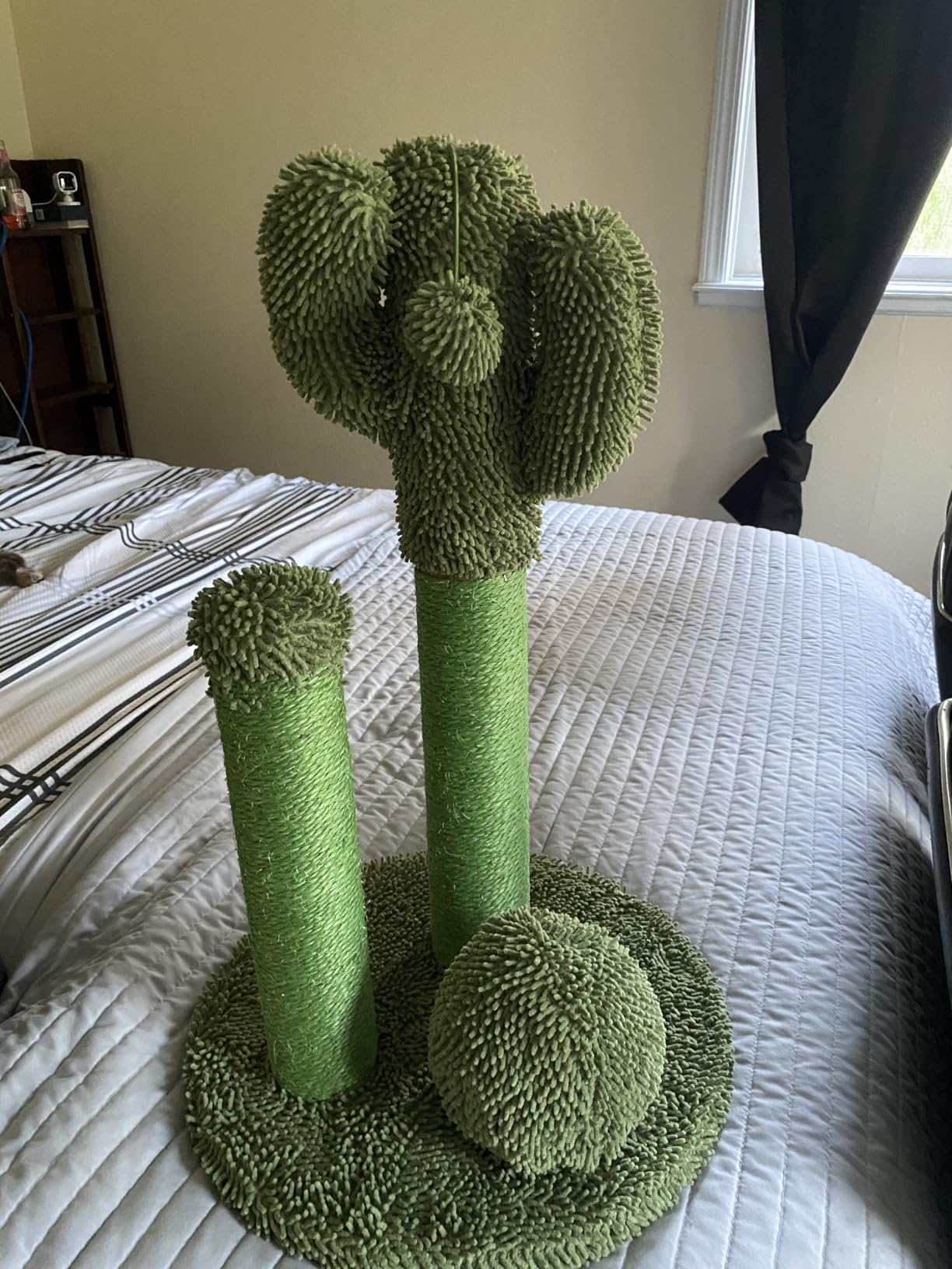 Amazon Basics Cactus Cat Tower for Indoor Cats, 4-in-1 Scratching Post with Curved Perch, Cozy Condo, Natural Sisal, Interactive Dangling Ball, 30.7 in H, Green customer photo 2