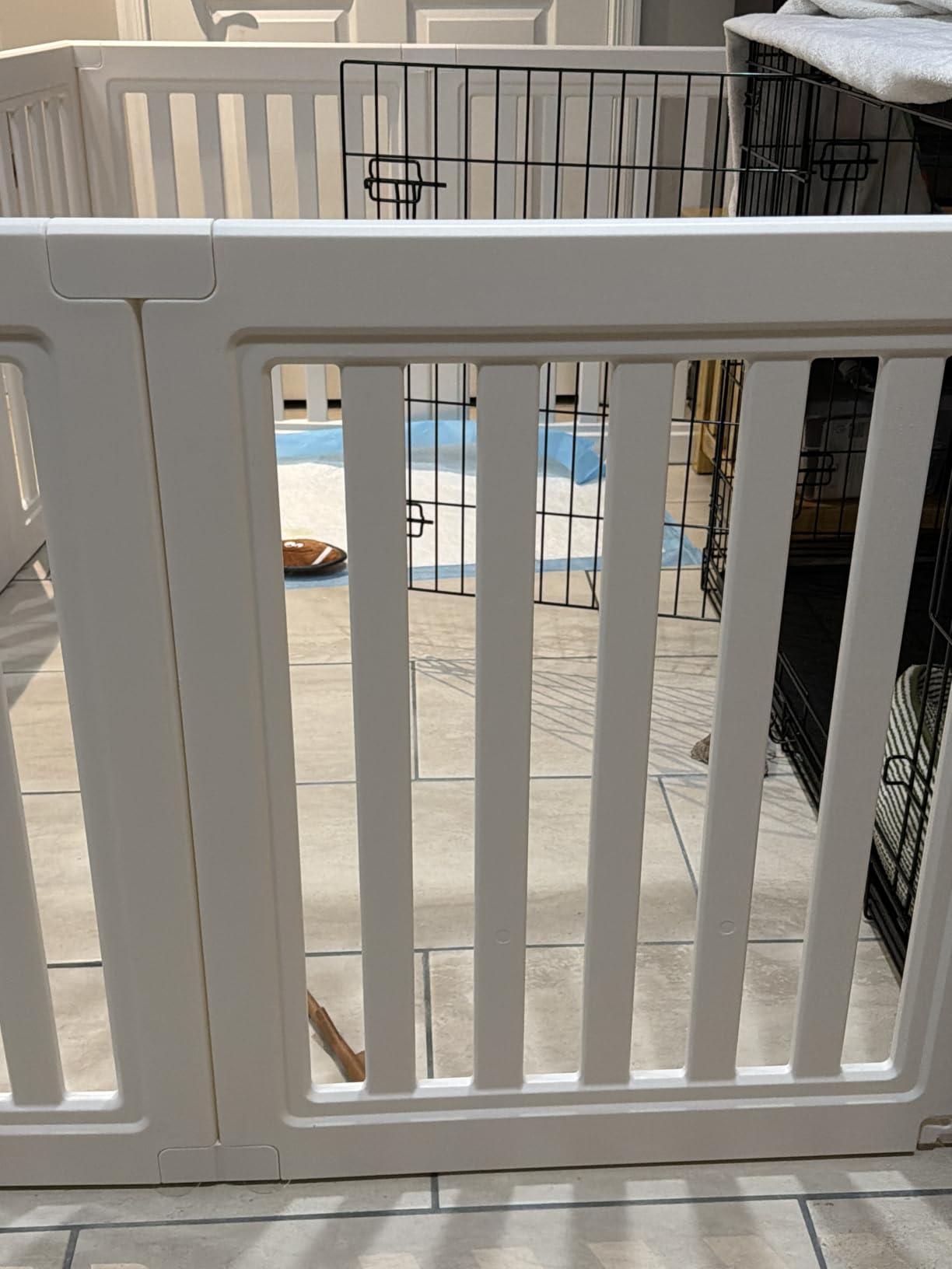 Dog Playpen, Clear Dog Pen, Dog Pen Indoor, Easy to Install and Remove Dog Play Pen, Puppy Playpen Suitable for Dogs, Cats,Dog Playpen Indoor (White, 23.6 inch Height, 8 Panels) customer photo 1