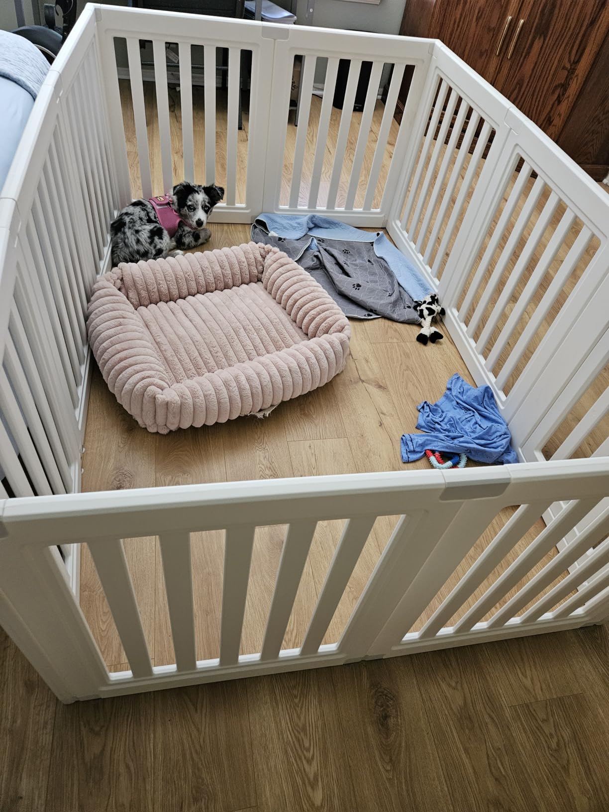 Dog Playpen, Clear Dog Pen, Dog Pen Indoor, Easy to Install and Remove Dog Play Pen, Puppy Playpen Suitable for Dogs, Cats,Dog Playpen Indoor (White, 23.6 inch Height, 8 Panels) customer photo 2