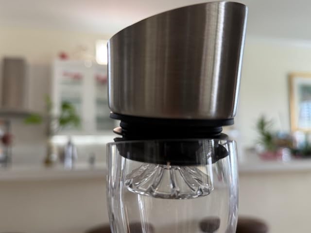 Wlasss Hand Blown Wine Decanter with Aerator, 1300ml/44oz Red Wine Decanter, Crystal Wine Carafe with Stainless Steel Pour Lid and Filter, Elegant Design Easy Pour, Wine Aerator Wine Gifts customer photo 2