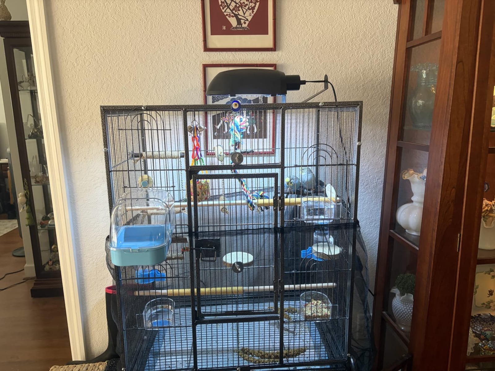 VINGLI 53-inch Bird Cage with Wheels, Durable Wrought Iron Parakeet Cage with Slide Out Tray for Parakeets/Cockatiels/Budgies and Other Small/Medium Birds (Black, 53 inch) customer photo 2