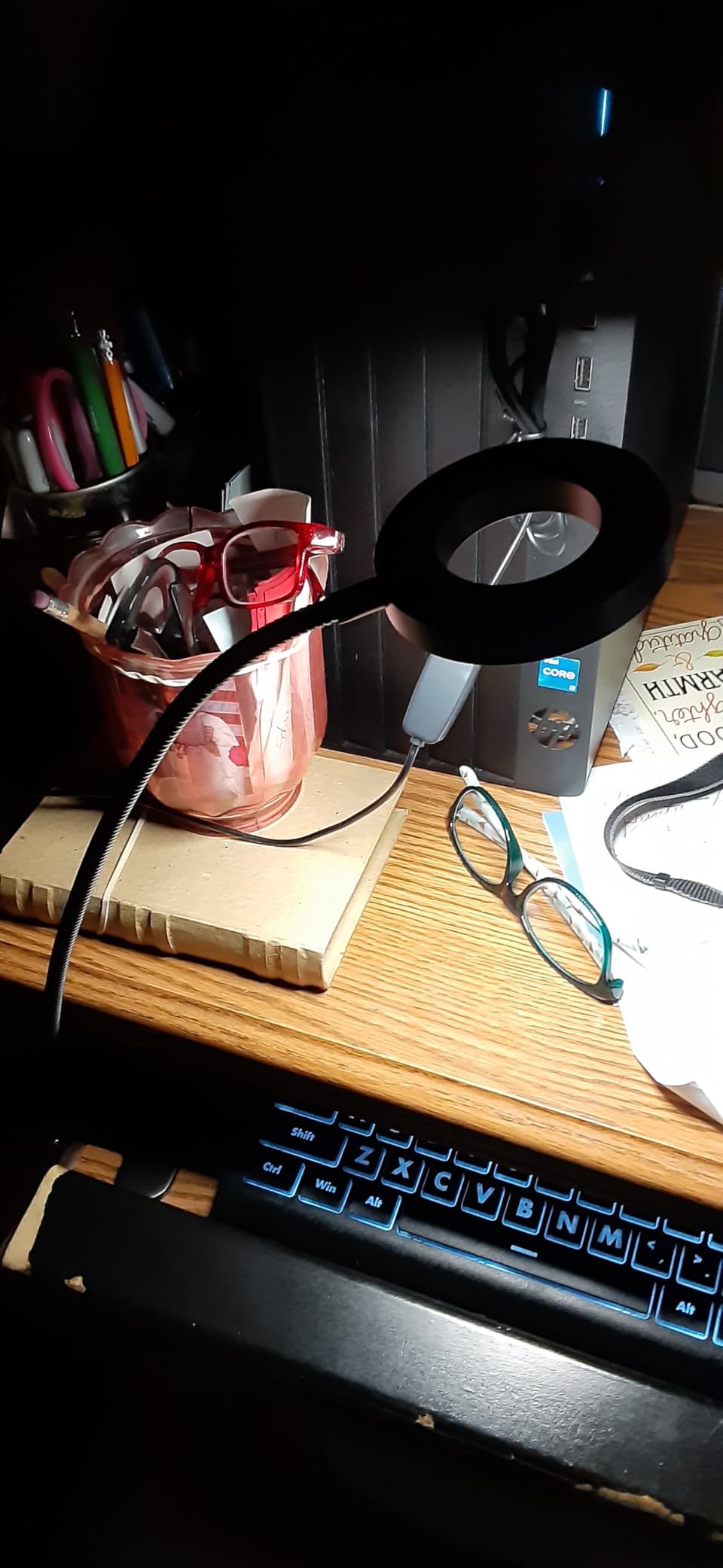 Woputne Desk Lamp Clip Light, 10 Dimmable Brightness 3 Light Modes Reading Light, Clamp Bedside Lamp for Painting, Craft, Study (Black) customer photo 2