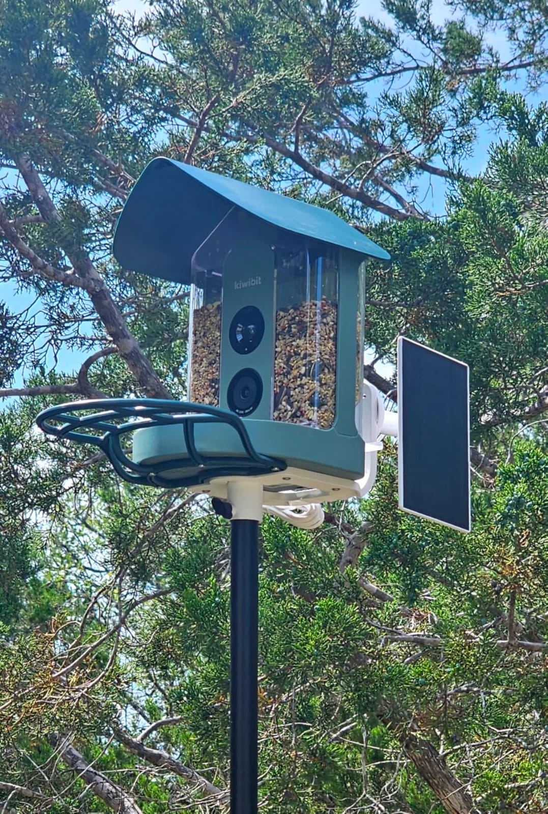 Kiwibit Smart Bird Feeder with 4K AI Camera Solar Powered, 8MP Photos | 4K Livestream & Instant Bird Alerts, Bird Identification, Family Sharing 20 Members, Adjustable Solar Panel, Easy Refill customer photo 2