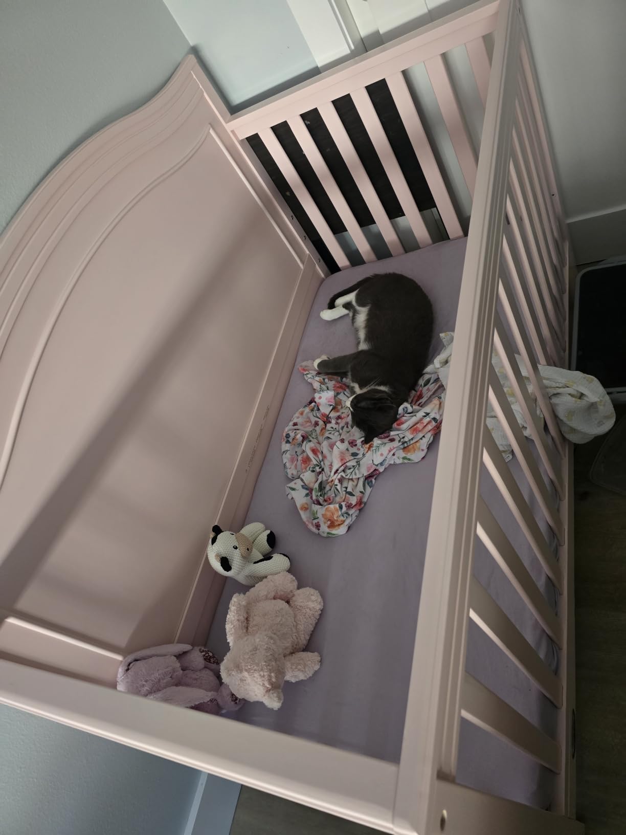 Graco Paris 4-in-1 Convertible Crib, Blush, GREENGUARD Gold Certified customer photo 1