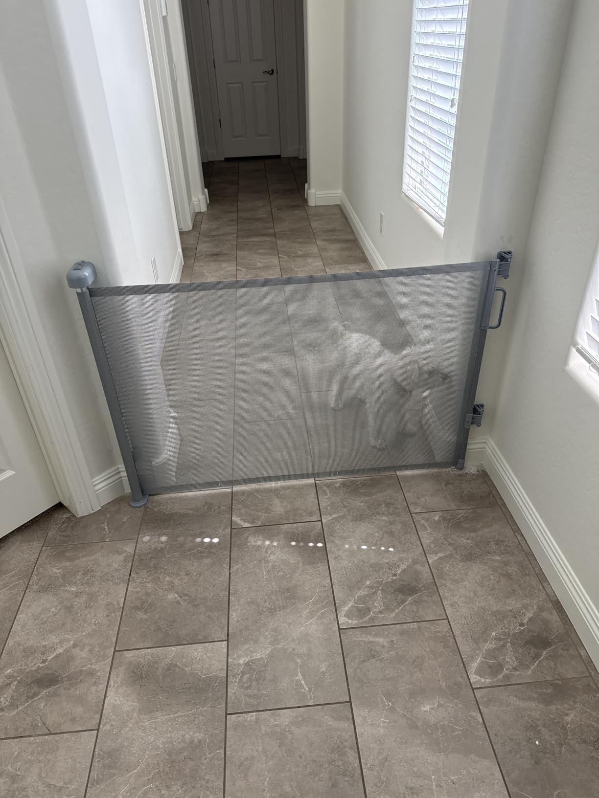Retractable Baby Gate for Stairs & Doorways, Mesh Dog Gate Indoor Outdoor, Extends to 55