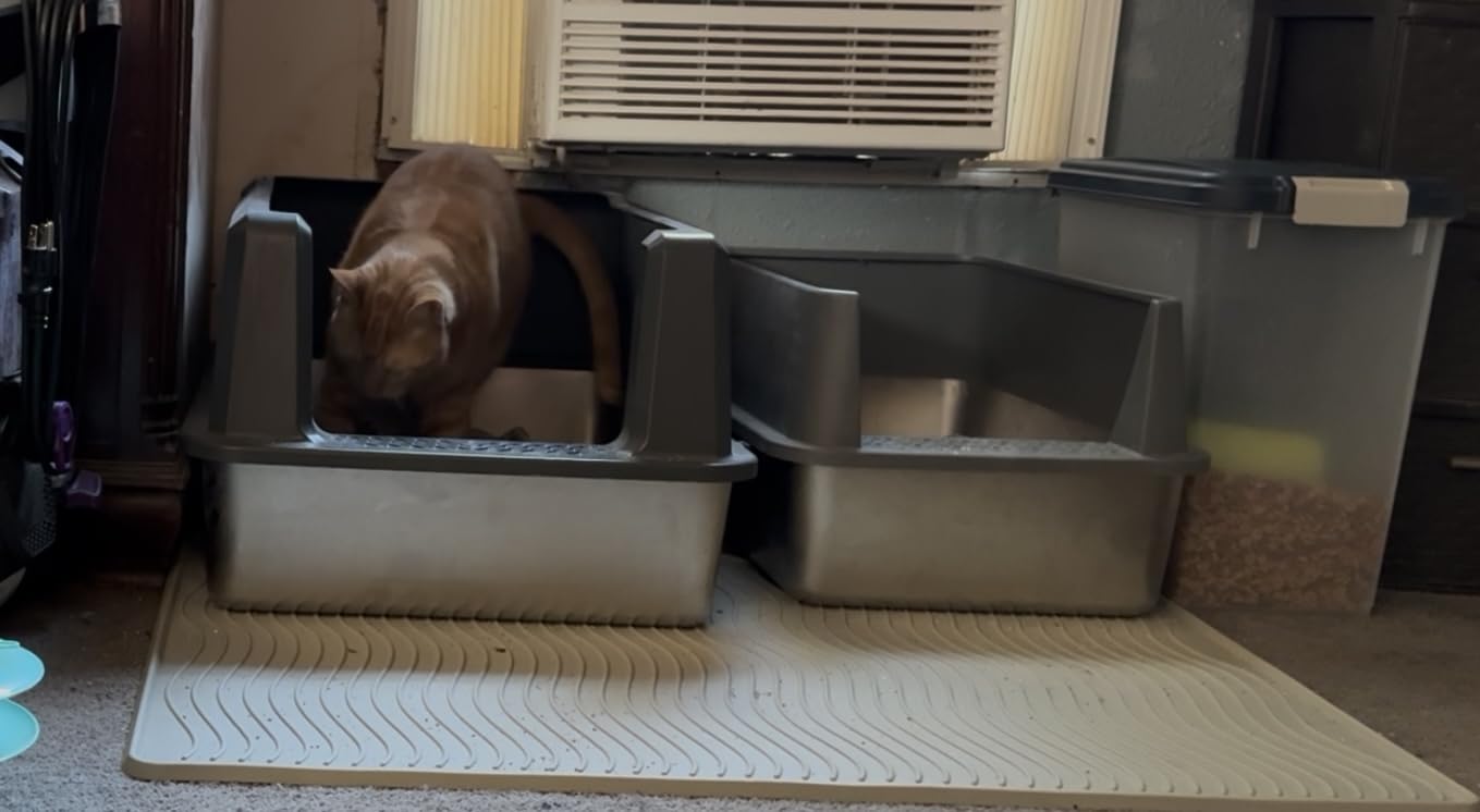 Stainless Steel Cat Litter Box with Lid, 26 x 18 x 12 in | XXXL Enclosed Cat Litter Boxes with Lid for Big Cats, High Sided, Anti-Urine Leakage Bottom Includes Litter Mat & Scoop customer photo 1
